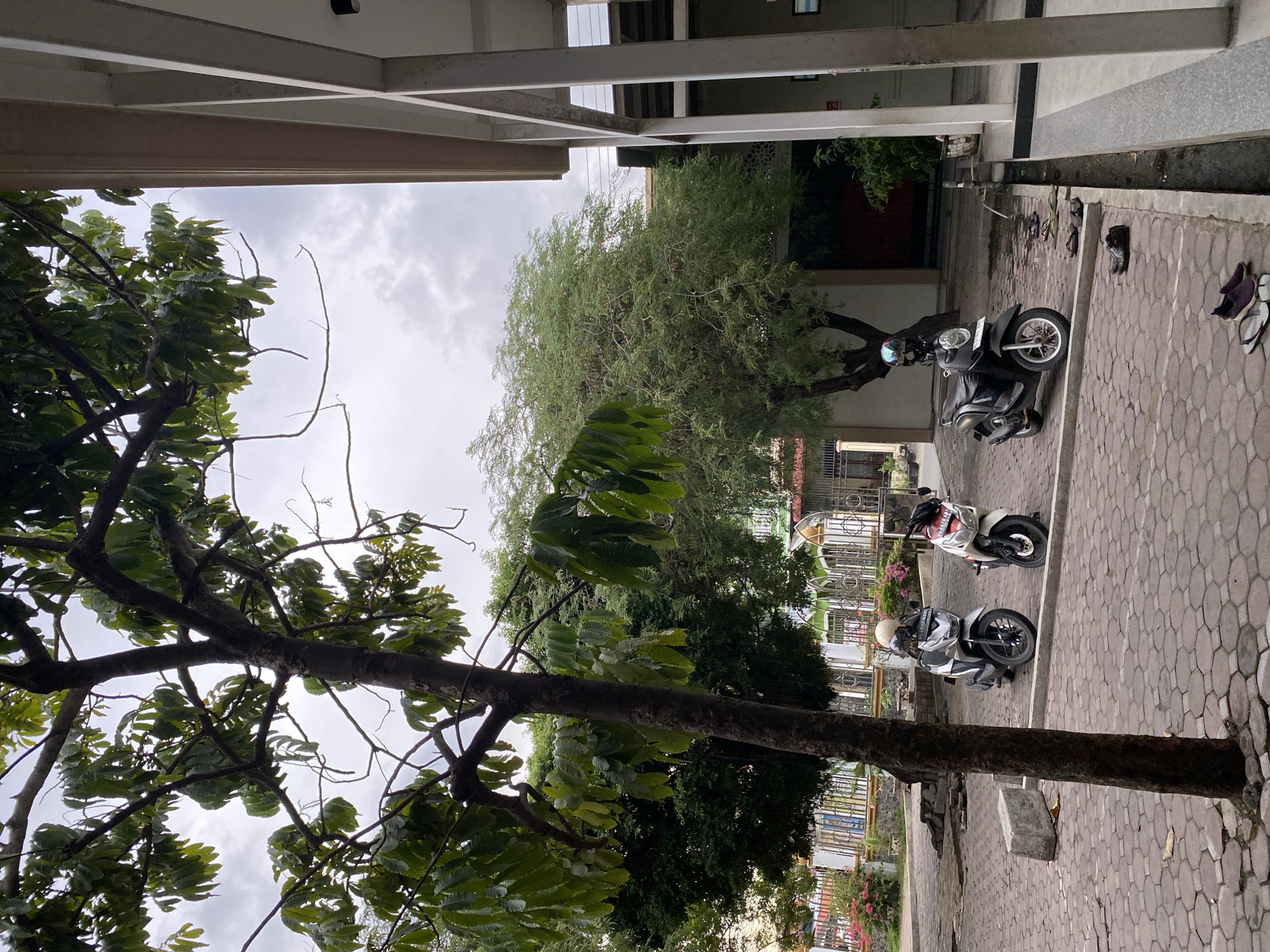 This image depicts an outdoor scene in Lhokseumawe, Indonesia. The foreground is dominated by a large tree with dark bark and dense green foliage, its branches extending across the frame. Beyond the tree, a paved walkway with a hexagonal pattern is visible, with several parked motorcycles.
In the mid-ground, two scooters are parked on the walkway. The scooter closer to the foreground is silver and has a helmet resting on its seat. The scooter further back is white and red. A few pairs of footwear, including sandals and a boot, are scattered on the walkway near the edge of a building. The buildings in the background appear to be part of an institutional or residential complex, with visible architectural features like columns and covered walkways. Lush green trees and vegetation are present throughout the scene, suggesting a well-maintained outdoor area.
The sky is overcast with clouds, indicating a possibly gloomy or rainy day. The overall lighting suggests it is daytime, but the weather conditions are not bright. There is no visible text in the image. The scene appears to be a quiet, everyday setting, possibly in front of a school, office building, or residential area, where people park their vehicles and leave their footwear.