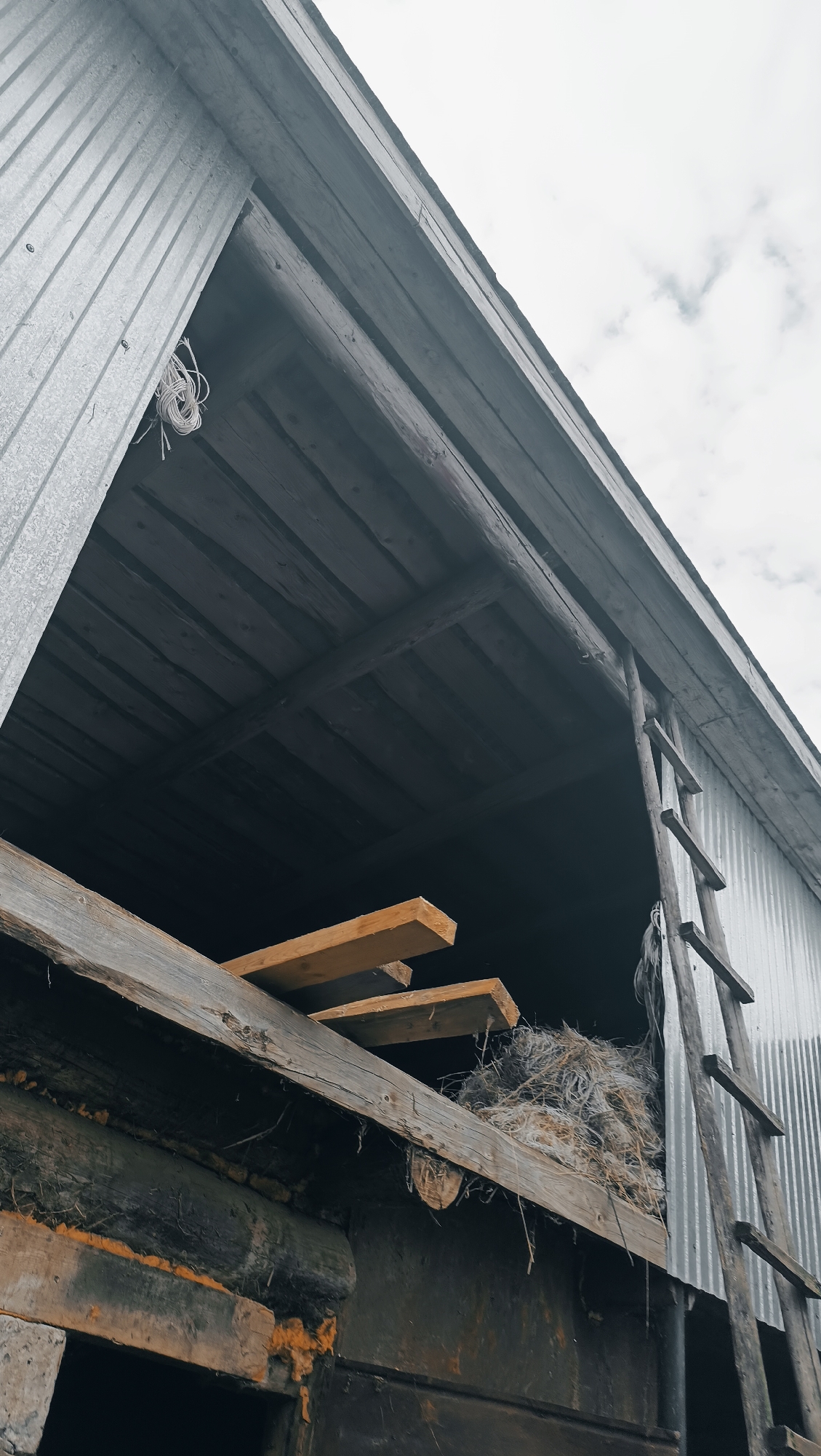 The image depicts the unfinished construction or renovation of a structure, likely a barn or outbuilding, with a corrugated metal exterior wall visible on the left and a dark wooden interior ceiling. A wooden ladder leans against the right side of the structure, reaching towards the roofline. Several wooden planks are precariously placed on the roof edge, and a pile of what appears to be insulation or straw is also present. The overall impression is one of work in progress, with exposed wooden beams and a rough, utilitarian aesthetic. The location is specified as Karsha, Russia.