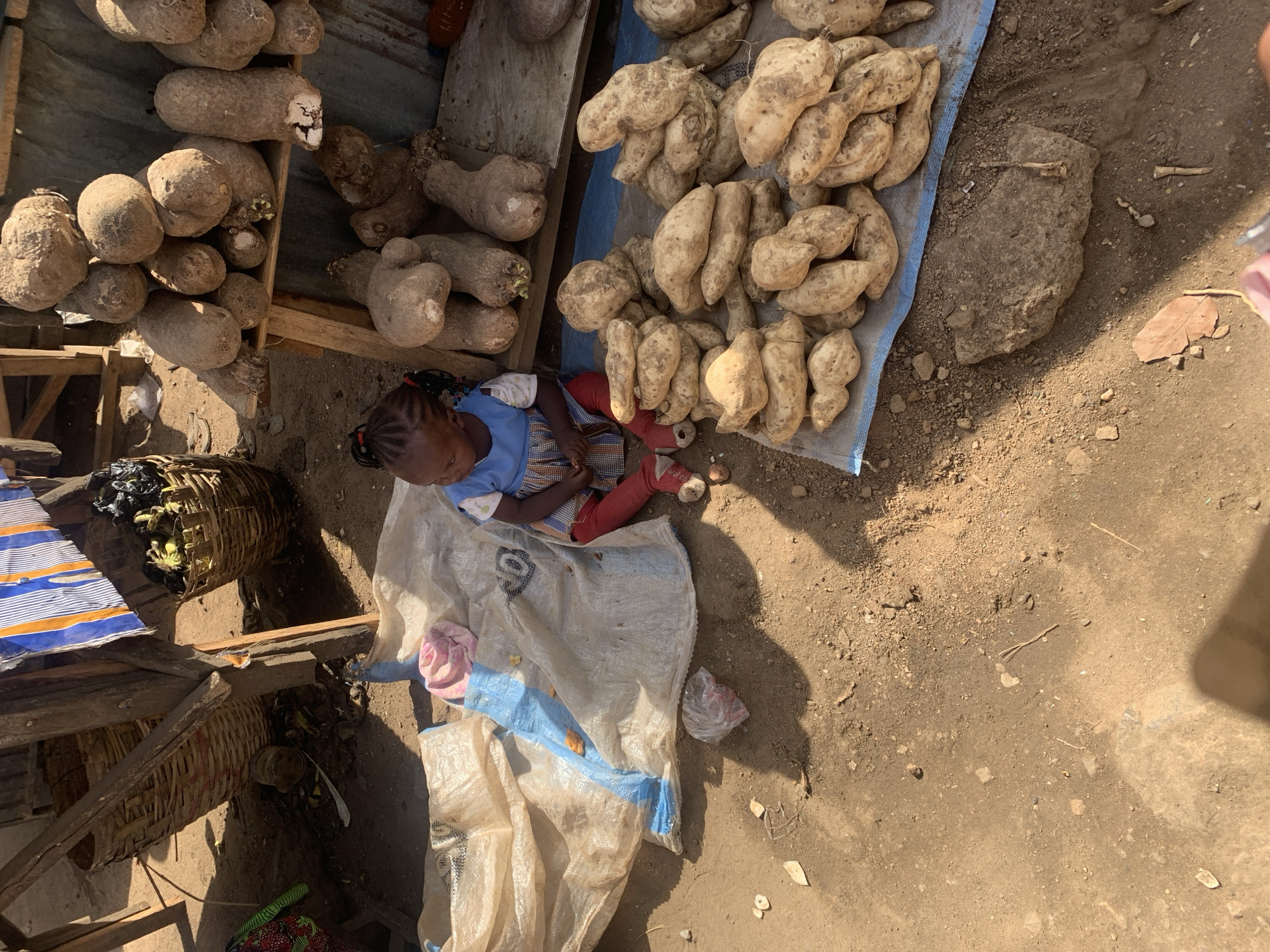 A young child sits on a white and blue tarp on the ground, surrounded by piles of root vegetables. The child wears a blue shirt and red leggings. To the left, there are two piles of oblong tubers arranged on a wooden shelf. A woven basket is partially visible beneath the shelf. To the right, a blue tarp holds a mound of smaller, light-colored root vegetables. Next to them, on the ground, is a larger, darker stone. The ground is dirt and scattered with small debris. The scene takes place in Rafin Par, Nigeria.
