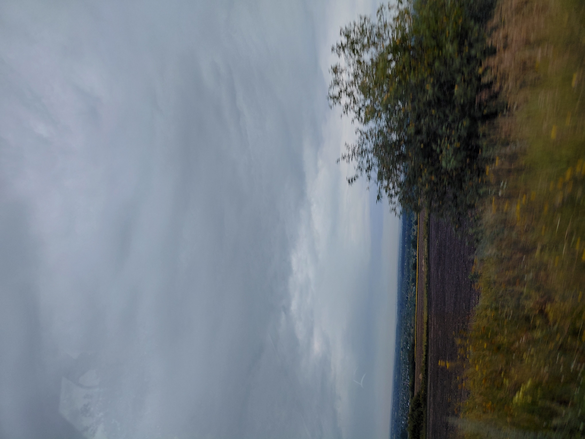 The image captures a wide, atmospheric landscape under a heavily clouded sky, suggesting an impending storm or recent rain. In the foreground, out-of-focus vegetation, including grasses and some yellow wildflowers, blurs with motion, indicating the photograph was taken from a moving vehicle. Beyond this, a dark, tilled field stretches across the middle ground, bordered by a strip of lighter colored vegetation. Further in the distance, a rural town or village is visible, nestled amongst trees and fields, with a hint of yellowing crops. A faint lightning strike is visible in the far distance, illuminating the clouds. A large, somewhat blurred tree with green and yellow foliage stands prominently on the right side of the frame, partially obscuring the view of the town. The overall impression is one of a moody, overcast day in a rural setting.