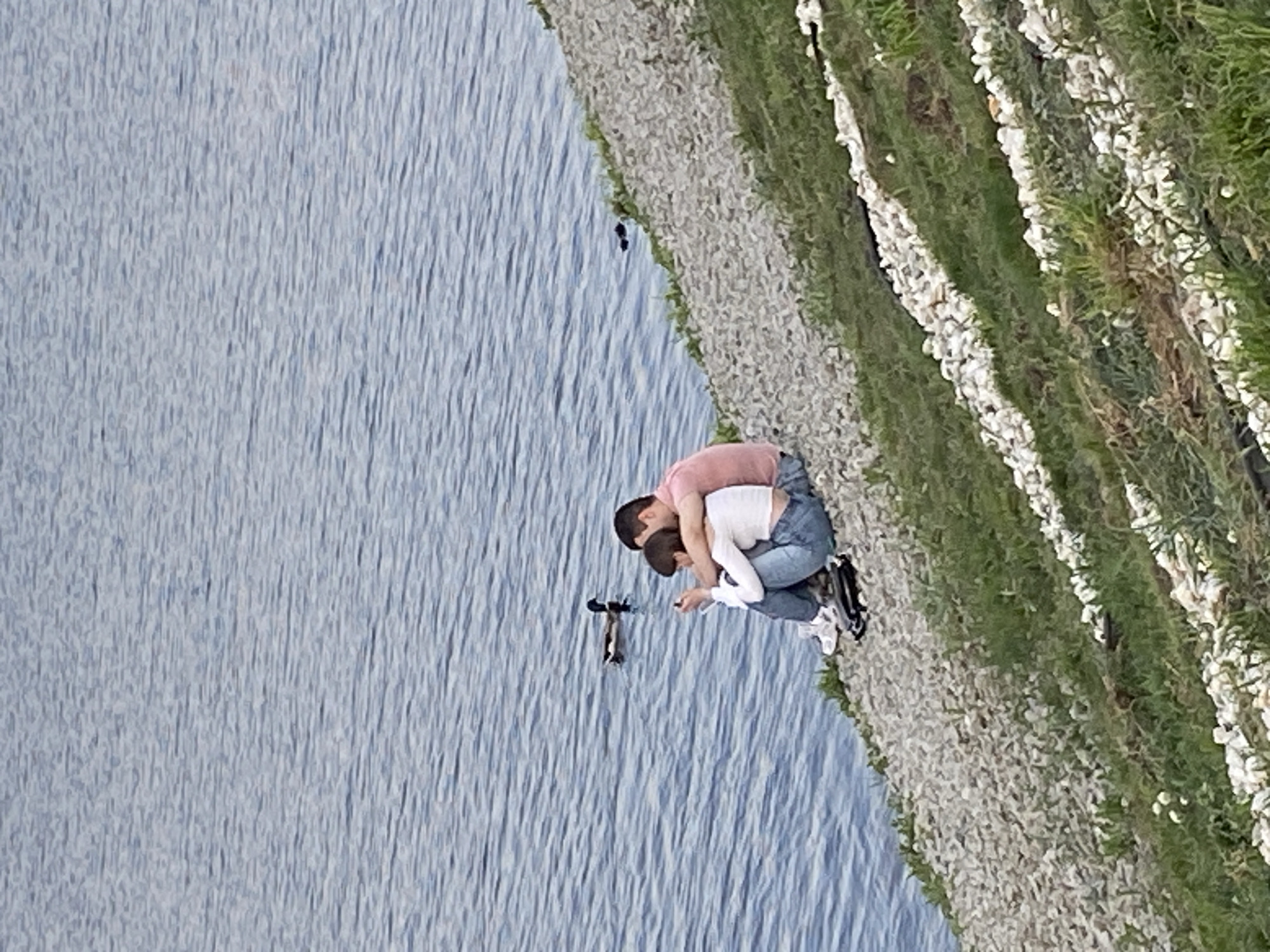 The scene depicts a couple near the water’s edge in Yekaterinburg, Russia. A body of water with gentle ripples occupies a significant portion of the left side. Adjacent to the water is a path made of light-colored gravel or small rocks. A couple is situated on the path. The man is wearing a pink shirt and jeans, while the woman is in a white shirt and jeans. They appear to be interacting with ducks in the water. Vegetation, including grass and white flowering plants, lines the far right edge of the image.