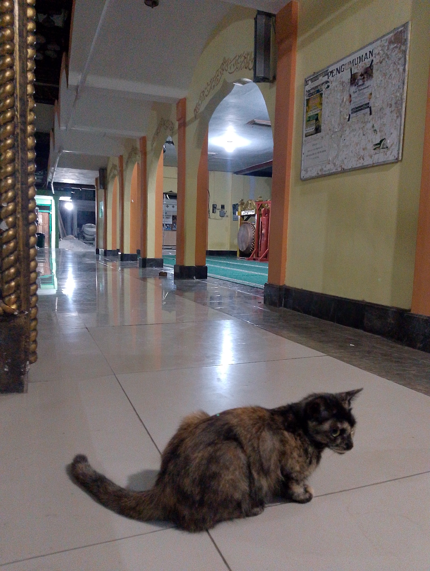 A tortoise shell cat is sitting on a tiled floor inside a mosque. The cat is facing to the right, with its tail curled around its body. The floor is highly reflective, with the reflections of the arched doorways and pillars visible. The walls of the mosque are painted yellow and orange, and there are several arched doorways leading to other parts of the building. A bulletin board with papers tacked to it is visible on the right wall, and a large drum is visible in the background on the left. The scene appears to be lit by artificial lighting. The location is identified as Berbek, Indonesia.