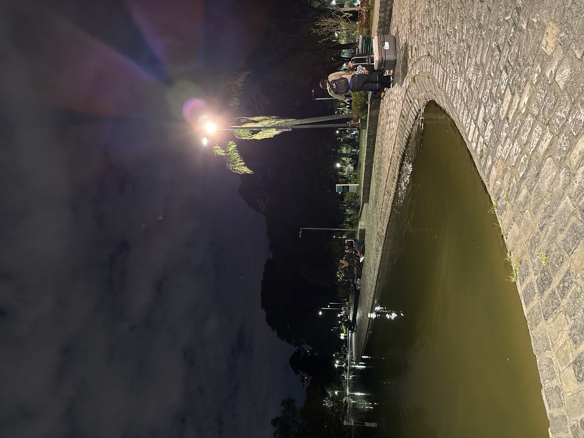 The image depicts a night scene in Buenos Aires, Argentina, likely near a body of water, possibly a lake or canal. A stone bridge with an arched design is visible on the right side of the image. A person with a backpack and luggage stands on the bridge, close to the edge. Streetlights illuminate the area, reflecting in the water. Trees and foliage are visible in the background, along with buildings and other infrastructure. The sky is dark with some clouds. People are sitting on benches near the lake.