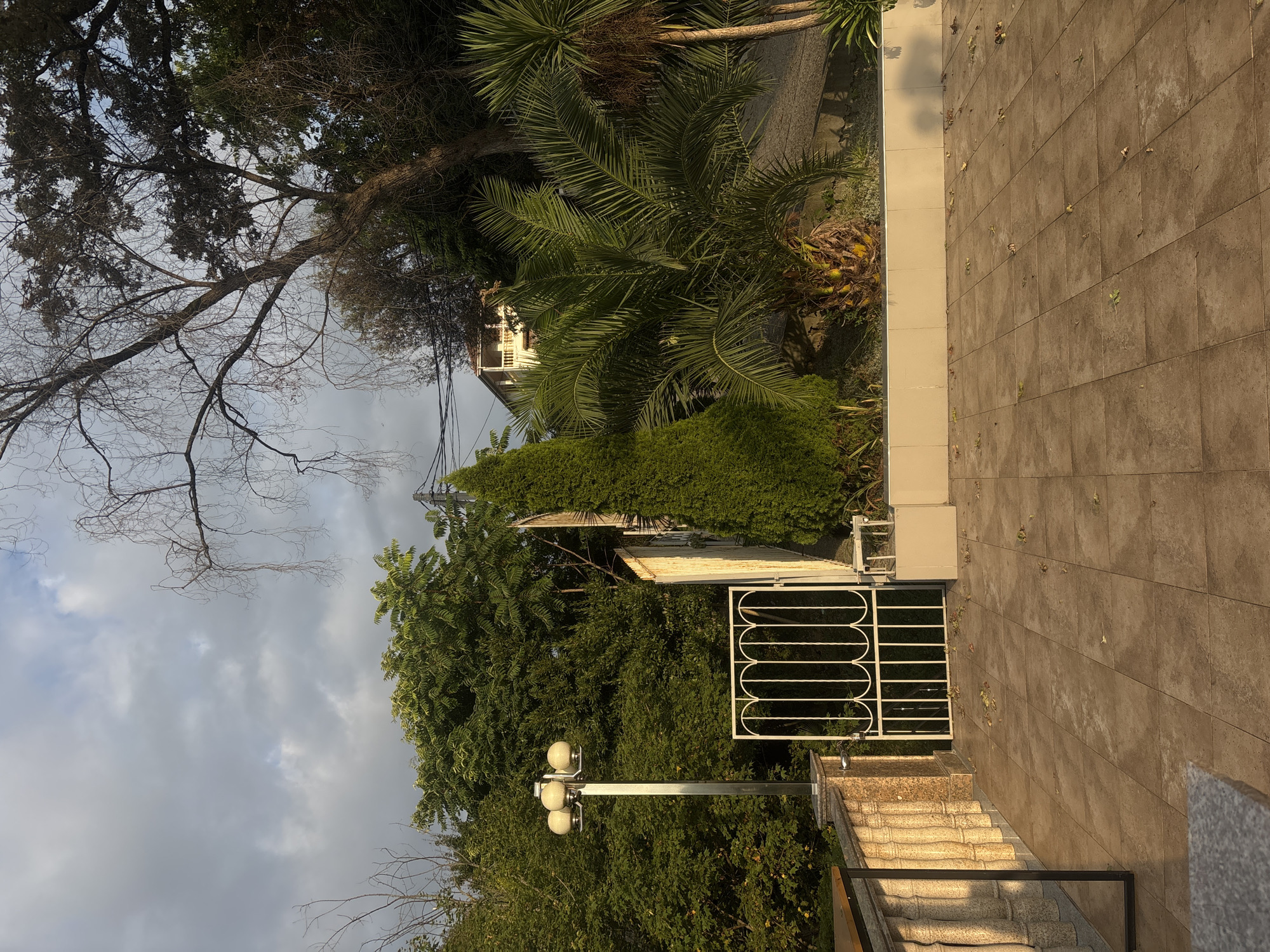 The image shows an outdoor patio area with tiled flooring. In the background, there is a white decorative metal gate, a lamp post with three globes, and lush green foliage including palm trees and other trees. A building with balconies is visible further in the background, partially obscured by trees. The scene appears to be in a residential or garden area, possibly in Sochi, Russia, given the vegetation and architectural style. The lighting suggests it is either early morning or late afternoon. There are scattered fallen leaves on the patio. The perspective is from ground level, looking towards the gate and the garden beyond.