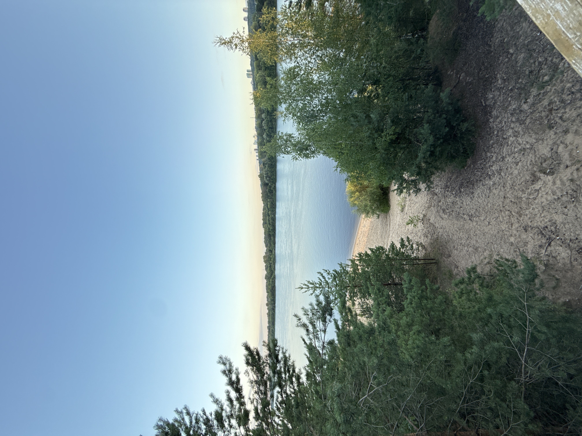 The image depicts a serene natural landscape overlooking a wide river, likely the Volga River, as seen from a sandy embankment near the city of Bor, Russia. In the foreground, lush green pine and birch trees frame the view. A sandy path winds down from the embankment towards a small beach area on the riverbank. The river itself is calm and reflects the clear, pale blue sky. Across the river, a dense line of trees forms the opposite bank, and in the distance, the silhouettes of buildings suggest a city skyline, possibly part of Nizhny Novgorod. The overall scene evokes a sense of tranquility and natural beauty.