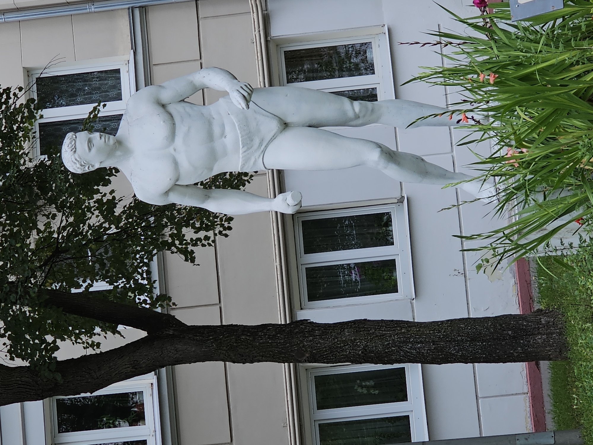 The image shows a white stucco statue of a muscular man in athletic shorts, standing in front of a modern building with white-trimmed windows. The statue is in a dynamic pose, with one leg forward and arms at his sides, though his left hand is slightly raised. He has short, stylized hair and a neutral expression.
Behind the statue, a tree trunk with rough bark is visible, its branches covered in green leaves reaching over the top of the statue. The building has multiple windows, some with decorative curtains visible through the glass, reflecting the surroundings. The lower part of the building is a light beige color, with white horizontal bands above the ground floor windows.
In the foreground, a patch of green grass is present, with a dense arrangement of tall green plants and several small orange and pink flowers blooming amongst them. The flowers appear to be gladioli and possibly other small wildflowers.
This image was taken in Khimki, Russia, specifically in front of the building located at ulitsa Molodezhnaya, 31. This statue is part of a small park area adjacent to the residential building.