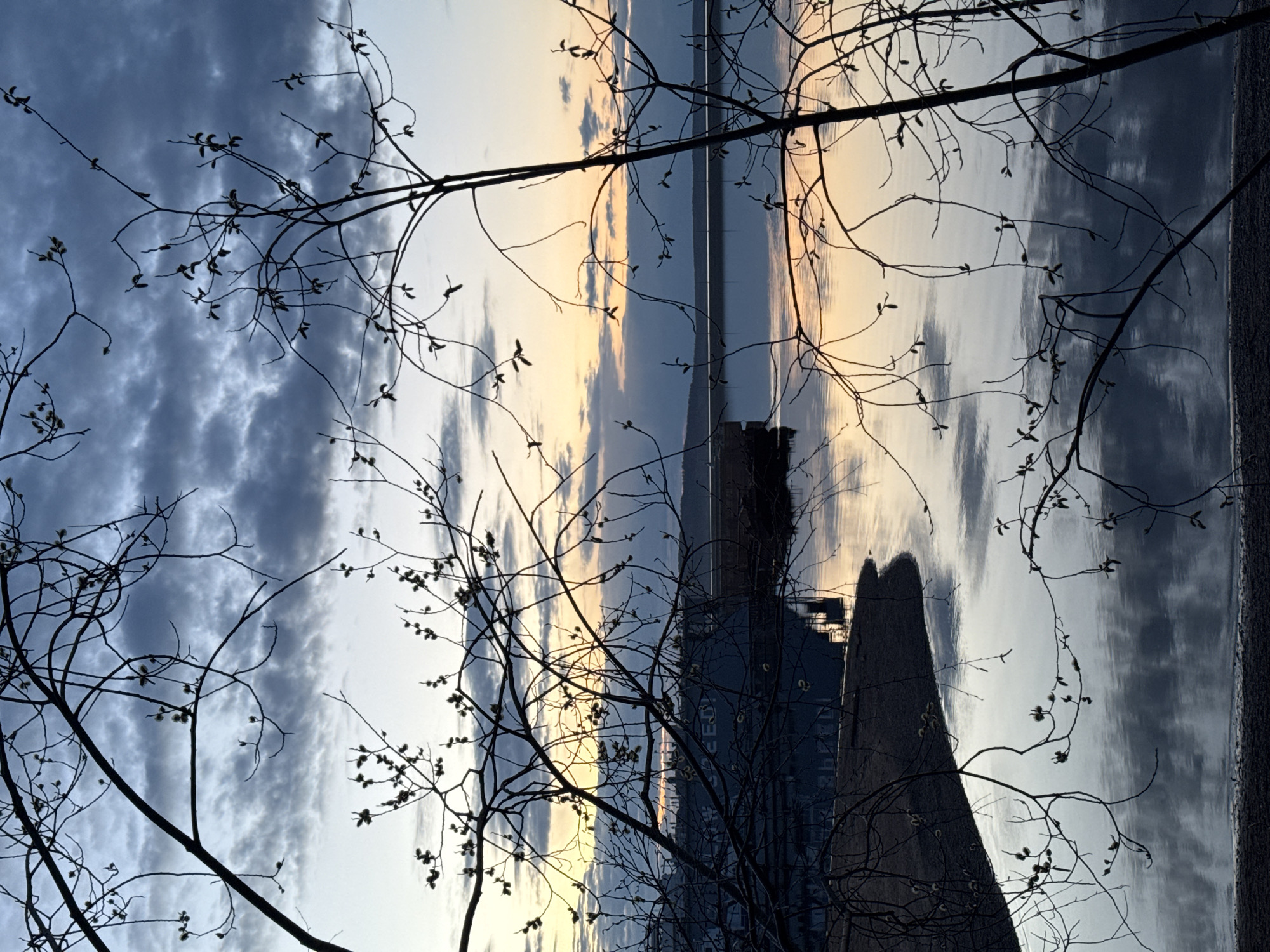 The image depicts a cityscape with silhouetted tree branches framing a reflection on water. In the background, there are buildings and a sky with a mix of clouds and sunset colors. The location appears to be near a waterfront area in the city of Unknown, Unknown, characterized by urban structures reflected in the water. The dominant subject is the interplay of natural and built elements, highlighted by the silhouette of the branches against the sky and reflected cityscape.