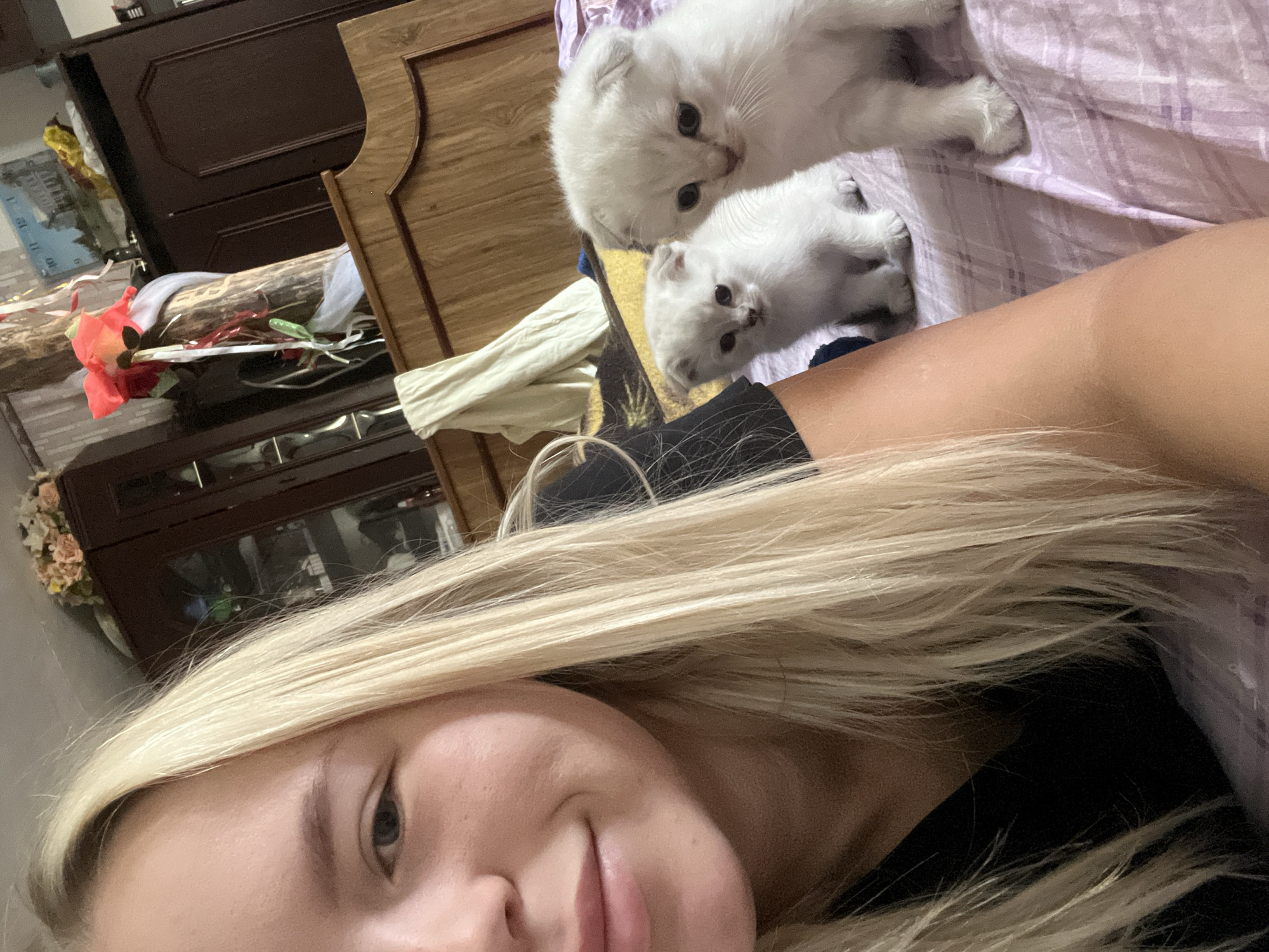 A selfie-style, close-up, medium shot shows a young woman with blonde hair looking at the camera, while two white kittens sit on a bed behind her. The woman is positioned on the left side of the frame, her face and shoulder filling the left half of the image. Her blonde hair is long and extends across her chest. She is wearing a black t-shirt. The two kittens, positioned on the right side of the frame, are facing the camera. The kitten in the foreground is larger and appears to be looking slightly to the right of the camera, while the smaller kitten behind it is looking directly at the camera. Both kittens have light gray markings around their eyes and ears. The background consists of a bed with a purple and white patterned sheet. Behind the bed, wooden furniture, possibly a dresser and cabinets, are visible, along with some decorative items, including a bouquet of flowers and a branch adorned with ribbons. The overall lighting suggests an indoor setting, likely a bedroom.