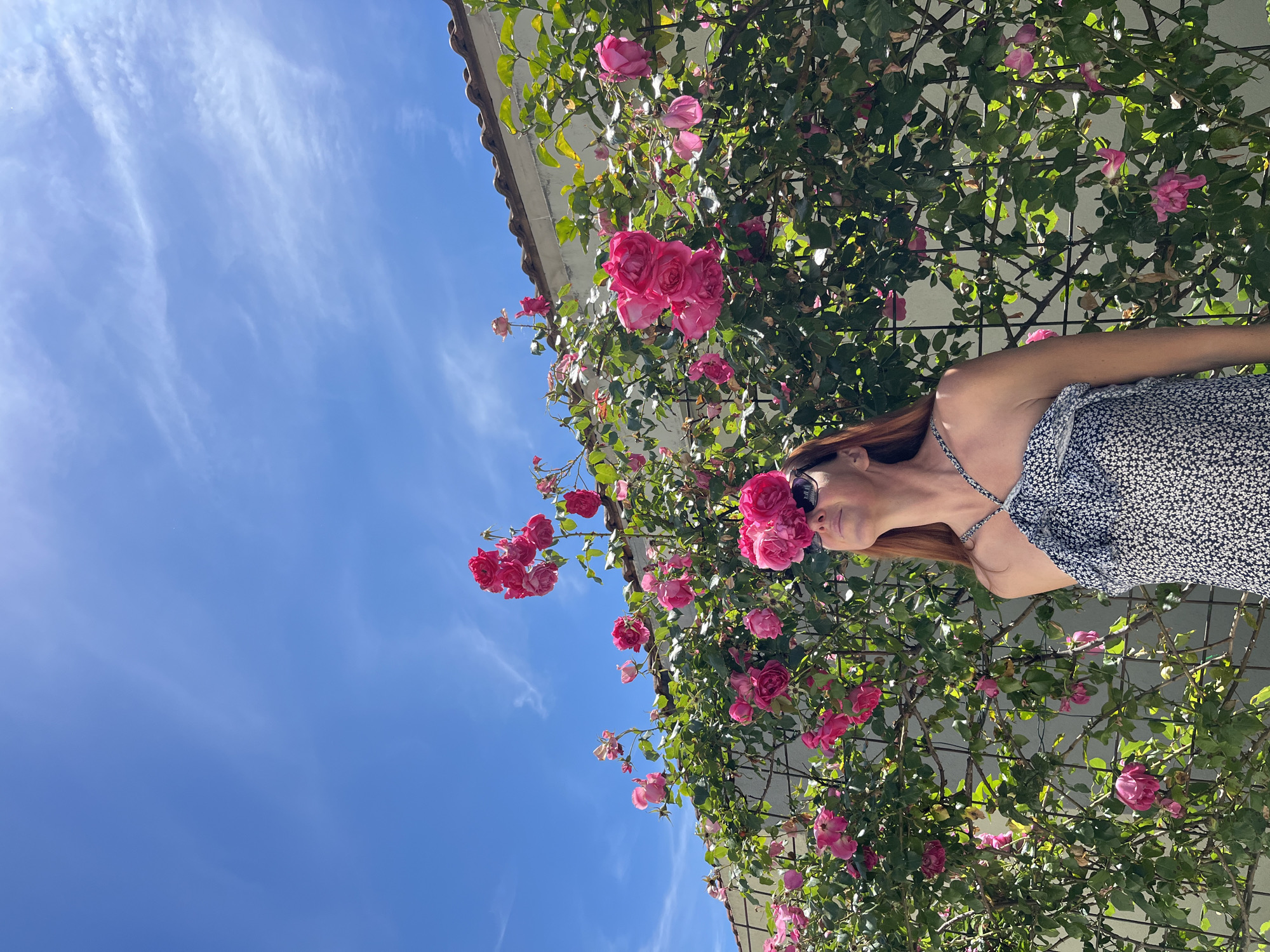 A low-angle, outdoor shot shows a woman standing near a climbing rose bush with pink flowers, likely in Budva, Montenegro. The woman is turned to her right, wearing a patterned sundress and sunglasses. Her hair is reddish-brown. The rose bush is blooming profusely against a white wall with a tiled roof edge visible at the top. A blue sky with wispy clouds is in the background. The image orientation is rotated counterclockwise.