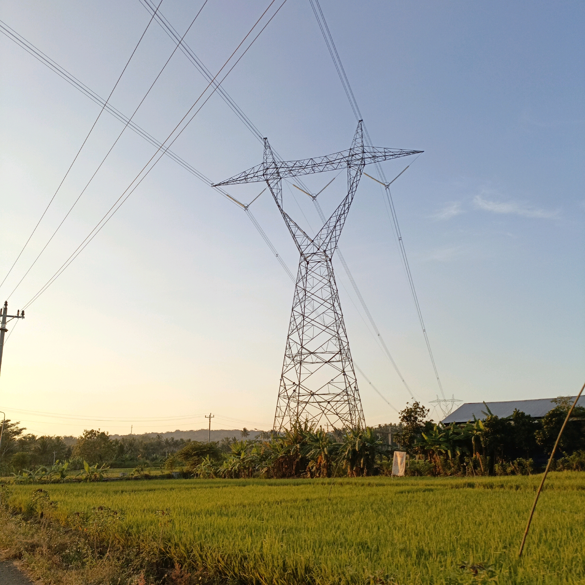 The image depicts a power transmission tower standing tall in a rural landscape. The tower, made of metal lattice, supports high-voltage power lines that stretch across the frame. In the foreground, a lush green rice field is illuminated by the soft, warm light of a setting sun, casting a golden hue over the scene. Banana trees and other vegetation dot the background, with a distant hill visible on the horizon. A power pole with insulators is also present on the left side of the image. The sky is clear, with a gradient of blue and pale yellow near the horizon. The scene appears to be located in a rural area outside of Salatiga, Indonesia, characterized by agricultural land and power infrastructure. There are no people or animals visible in the image.
