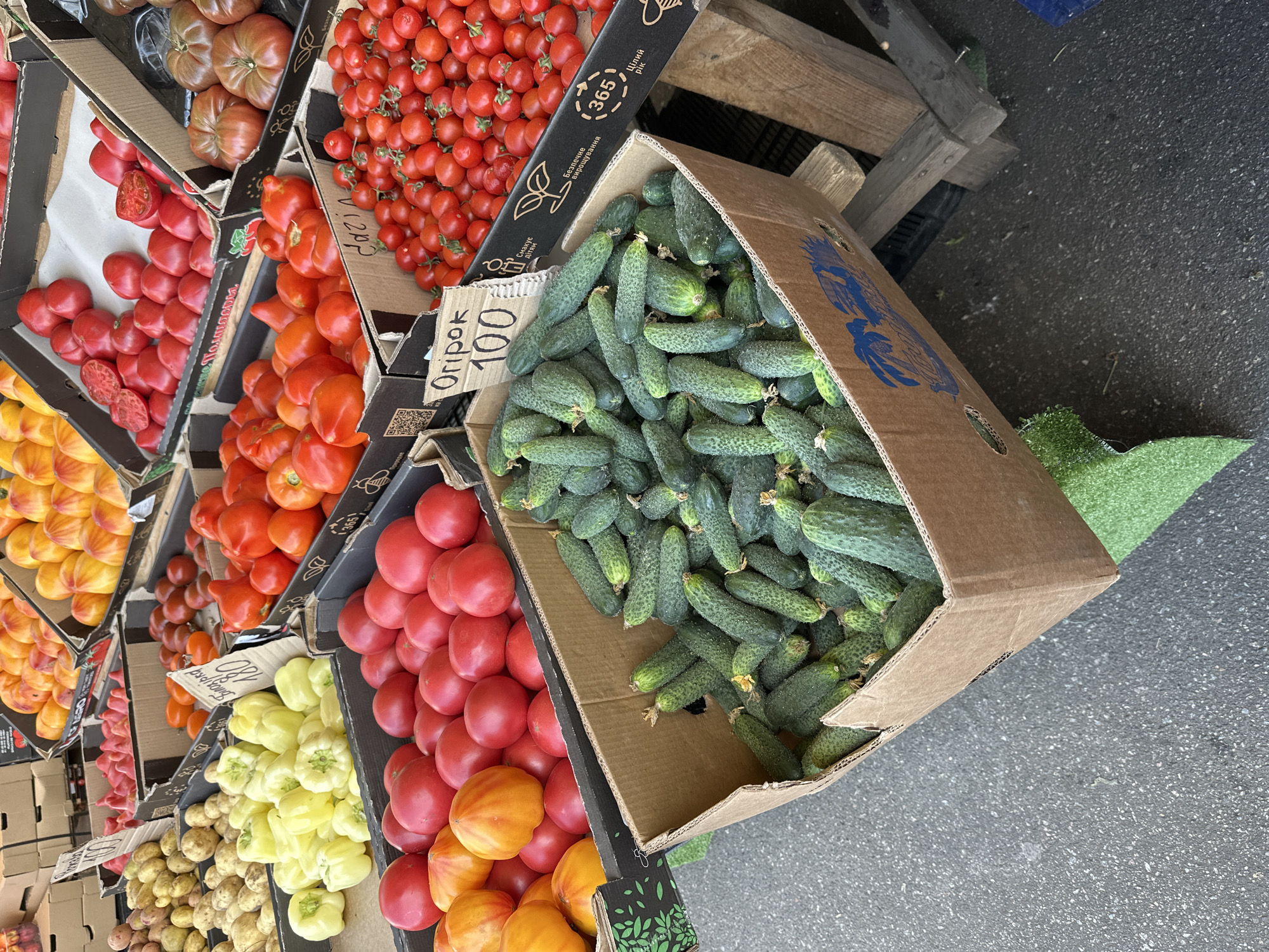 The image depicts a street market stall in Kyiv, Ukraine, showcasing a vibrant array of fresh produce. In the foreground, a large cardboard box overflows with small, bumpy green cucumbers, some with visible yellow blossoms. To the left of the cucumbers, a black plastic container holds a mound of red and yellow heirloom tomatoes, interspersed with other red tomatoes. Behind this, a box is filled with pale yellow bell peppers. Further back and to the left, potatoes are piled high in a crate. In the background, more crates display various types of tomatoes, including bright red ones and darker, heirloom varieties, as well as some reddish-pink, elongated fruits that resemble chili peppers or small tomatoes. Signs with handwritten prices are visible in some of the crates. The overall scene suggests a bustling agricultural market, likely on a paved outdoor surface, with some wooden supports for the crates visible.