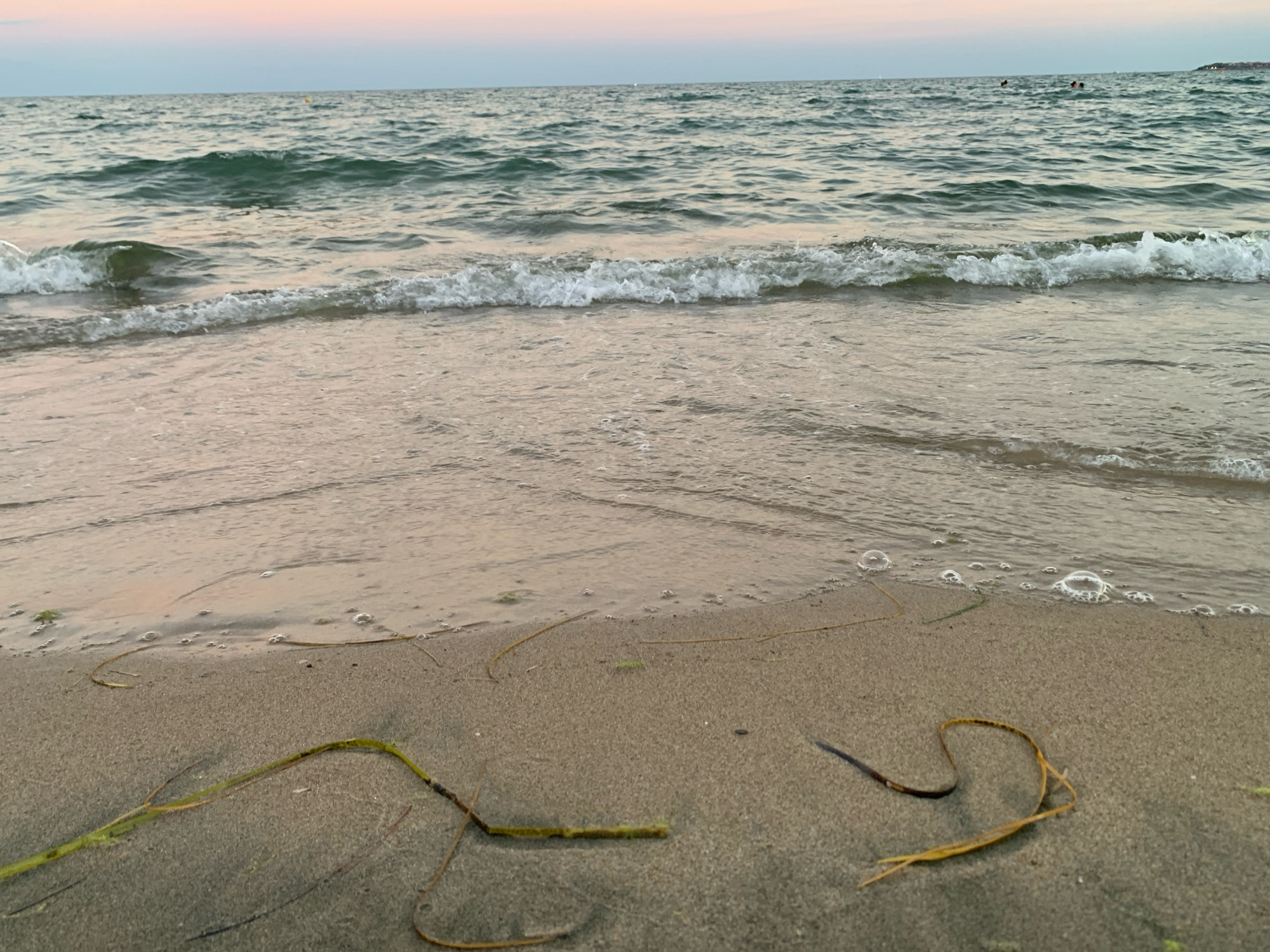 The image shows a close-up, low-angle view of a sandy beach with gentle waves lapping at the shore. The sand is damp and textured, with scattered pieces of seaweed or dried vegetation lying on the surface. The water is a muted green color, with small whitecaps and ripples indicating a light breeze. In the distance, the horizon is visible, with a faint pastel-colored sky. There are a few distant figures in the water, too small to discern any details. The scene appears to be at dawn or dusk, given the soft lighting and the colors in the sky. The location is identified as a beach in Nesebar, Bulgaria.