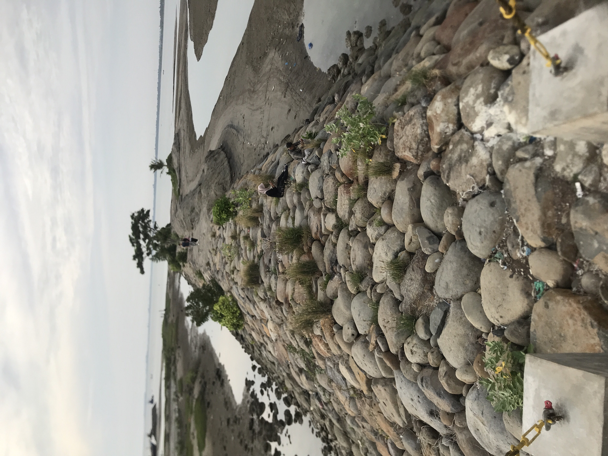 This image depicts a rocky embankment along a body of water, likely the sea or a large river, in Lhokseumawe, Indonesia. The embankment is constructed with numerous large, rounded stones of varying sizes and colors, creating a textured surface. Patches of sparse vegetation, including grasses and small green plants, grow between the rocks.
Several people are visible in the scene. In the mid-ground, two individuals are seated on the rocks, appearing to be engaged with their mobile phones. Further up the embankment, two other individuals are walking. In the background, there are boats on the water and a distant shoreline with trees. The sky is overcast with clouds. The environment appears to be a coastal or riverside area, with a sandy bank visible to the left of the embankment. Some scattered litter is present on the embankment and along the water's edge. The foreground shows a concrete structure with a yellow chain attached, suggesting a potential barrier or access point.