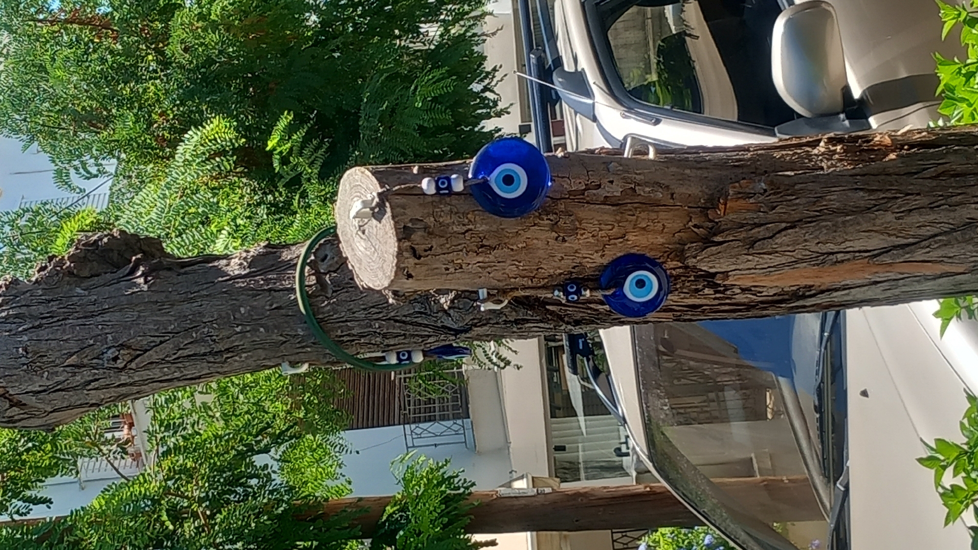 The image shows a rough-barked tree trunk in Kos, Greece, with several blue glass evil eye amulets hanging from it. The amulets are of varying sizes, some with white beads. A green wire is wrapped around the upper part of the trunk. In the background, lush green trees and a building with a balcony are visible. The lower portion of the image reveals the hood and windshield of a light-colored car, partially obscured by the tree and greenery. The scene suggests an outdoor setting, possibly a street or garden.
