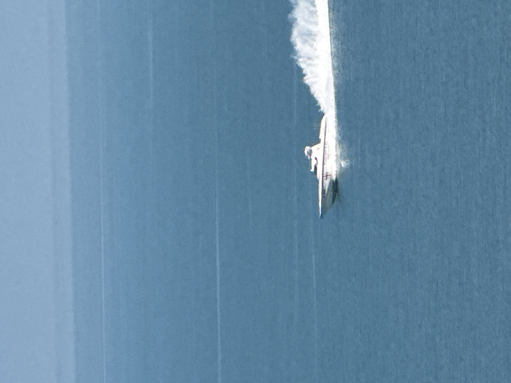 A hydrofoil boat is moving on the water, leaving a white foamy wake. The body of water is blue-gray, possibly the Black Sea. The location is possibly Batumi, Georgia.
