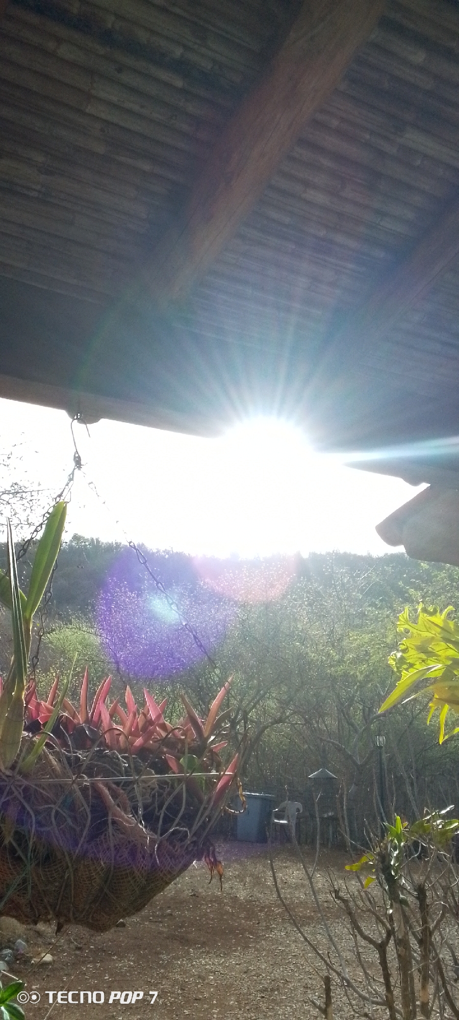 The image depicts an outdoor scene, possibly a patio or verandah, with a thatched roof overhead. Bright sunlight beams through an opening, causing lens flare and a purple hue on the foliage in the middle ground. In the foreground, a hanging basket containing plants with red and green leaves is visible. Behind the plants, the landscape appears to be a densely vegetated hillside. A dirt path or ground is visible in the lower portion of the image. A blue bin and a chair are present in the background. The bottom left corner of the image contains a watermark that reads "TECNO POP 7". The specific location in Altagracia, Venezuela, is not identifiable from the visual information provided in the image.