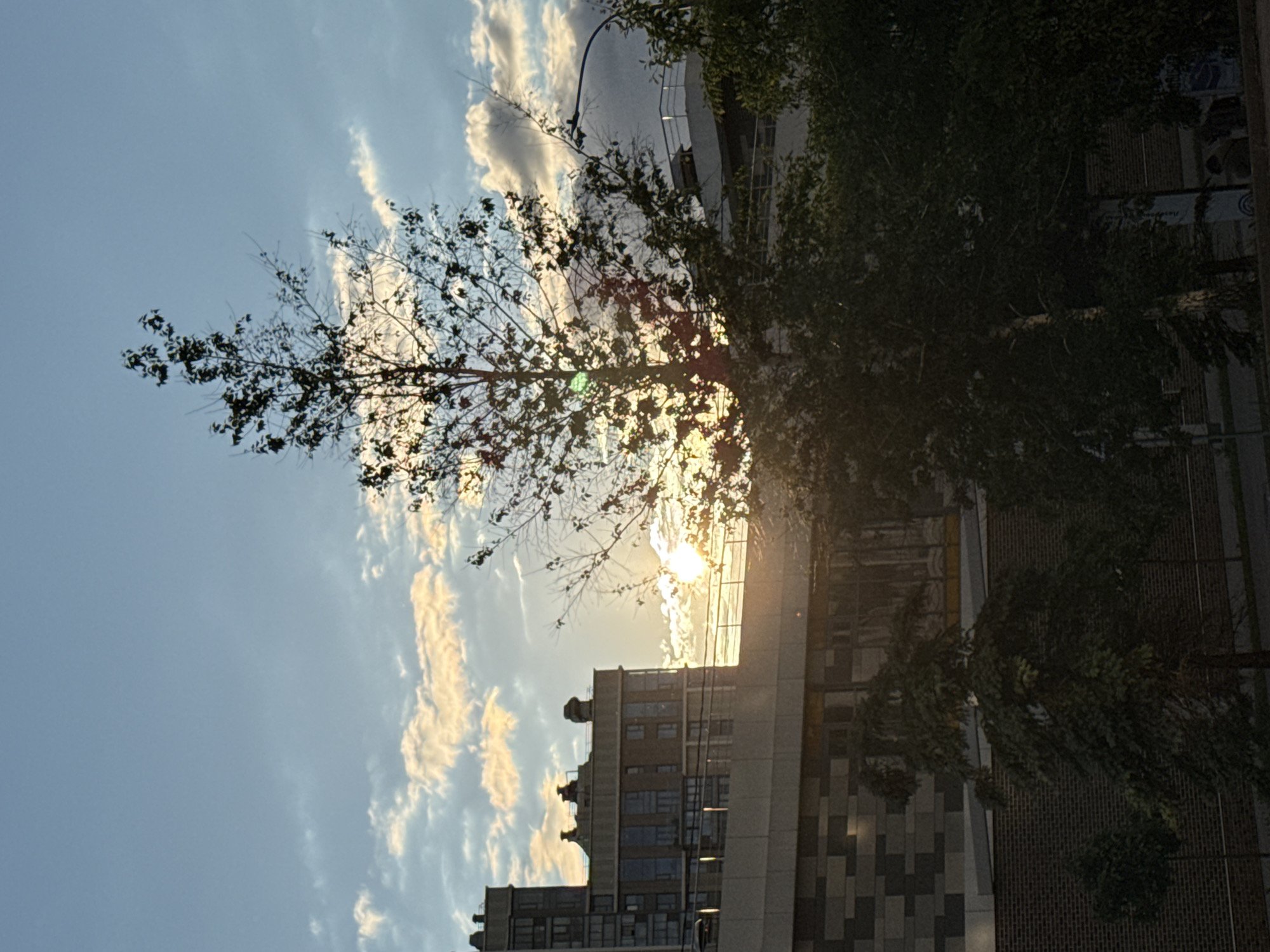 A photo of a sunset over a building in what appears to be an urban environment. A tree partially obscures the sun, casting the branches in silhouette against the bright sky. The sky is filled with long, thin clouds. The building has a modern architectural design, with varying colors and textures on its facade. The image may have been taken in the city of Moscow, Russia.