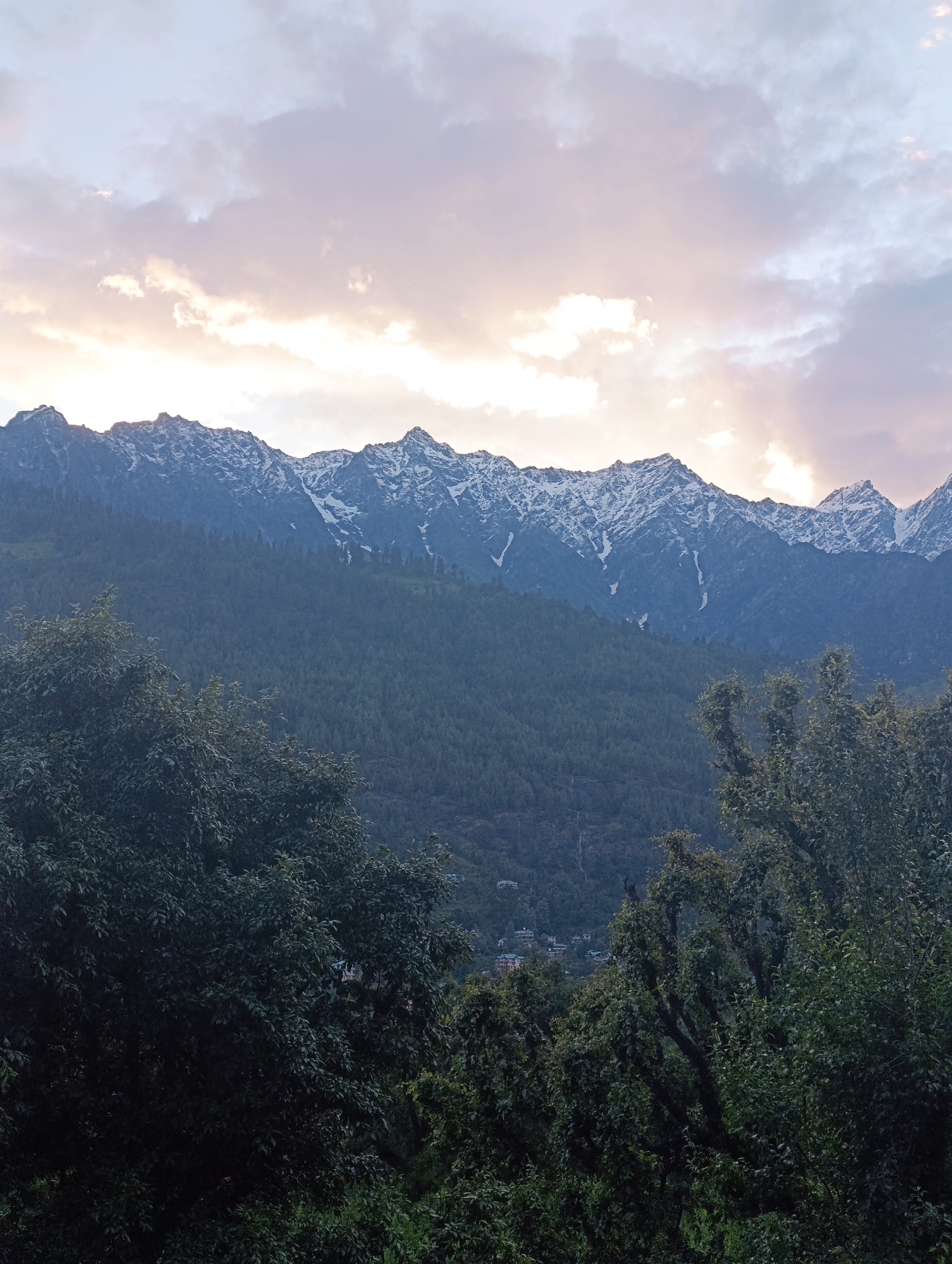 A wide shot captures a view of snow-capped mountains in the distance, with a dense forest in the foreground. The sky is overcast with light pink and yellow clouds, suggesting either sunrise or sunset. The mountains are dark blue and jagged, with patches of white snow on their peaks and slopes. The forest is composed of tall, dark green trees, with some lighter green foliage visible towards the bottom of the frame. In the mid-ground, nestled within the trees, there are a few buildings that appear to be houses or guesthouses, indicating a settlement. The overall impression is one of a serene and natural landscape.