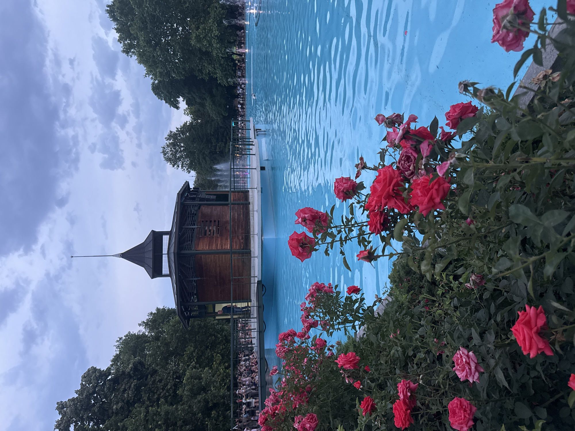 This image depicts the Tsar Simeon Garden in Plovdiv, Bulgaria, during evening twilight. The scene is dominated by a large, light blue artificial pond featuring a central octagonal wooden building with a dark, multi-tiered conical roof and a prominent spire. The building stands on a light-colored platform accessed by a dark-railed walkway extending from the left bank.
In the immediate foreground, dense bushes of vibrant pink and red roses are visible, some in full bloom, others showing signs of fading. The water surface displays gentle ripples and reflects the sky's soft blue. To the right of the central building, several water fountains are active, with some streams illuminated by white light, indicating a synchronized display.
A crowd of approximately 50-70 individuals, indistinct in detail due to distance and lighting, is gathered on the walkway and a paved area to the left of the central building. One male figure, dressed in dark attire, is clearly discernible standing on the walkway near the building, facing towards the crowd or the water.
The background is composed of a dense canopy of dark green deciduous trees, framing the water feature on both the left and right sides. Above the trees, the sky is overcast with scattered gray and blue clouds, consistent with dusk or early evening conditions. The overall lighting is dim, indicating natural light fading as artificial lights (fountains) become more prominent.