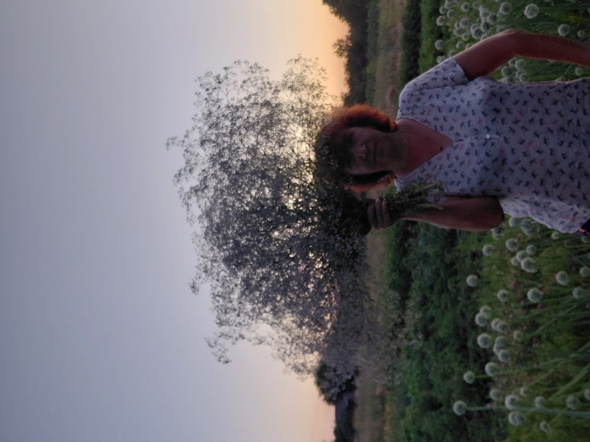 This media file shows a person holding a large bouquet of flowers in a field. The person appears to be a woman with reddish-brown hair and is wearing a light-colored shirt with a pattern of small figures. She is positioned in the right half of the frame, looking towards the viewer with a relaxed expression. The bouquet is large and feathery, obscuring some of the background.
The setting is outdoors in what appears to be a field of plants, possibly onions or alliums, given the round, white flower heads visible in the lower right portion of the image. There are also rows of greenery and trees in the background, suggesting a rural or agricultural location. The sky in the upper left is a pale gradient, transitioning from a light gray to a soft orange or pink near the horizon, indicating it is likely sunrise or sunset. The lighting is soft and diffused.
The image is oriented vertically, with the horizon line running across the middle of the frame from right to left. The overall mood is serene and natural. There is no visible text in the image.