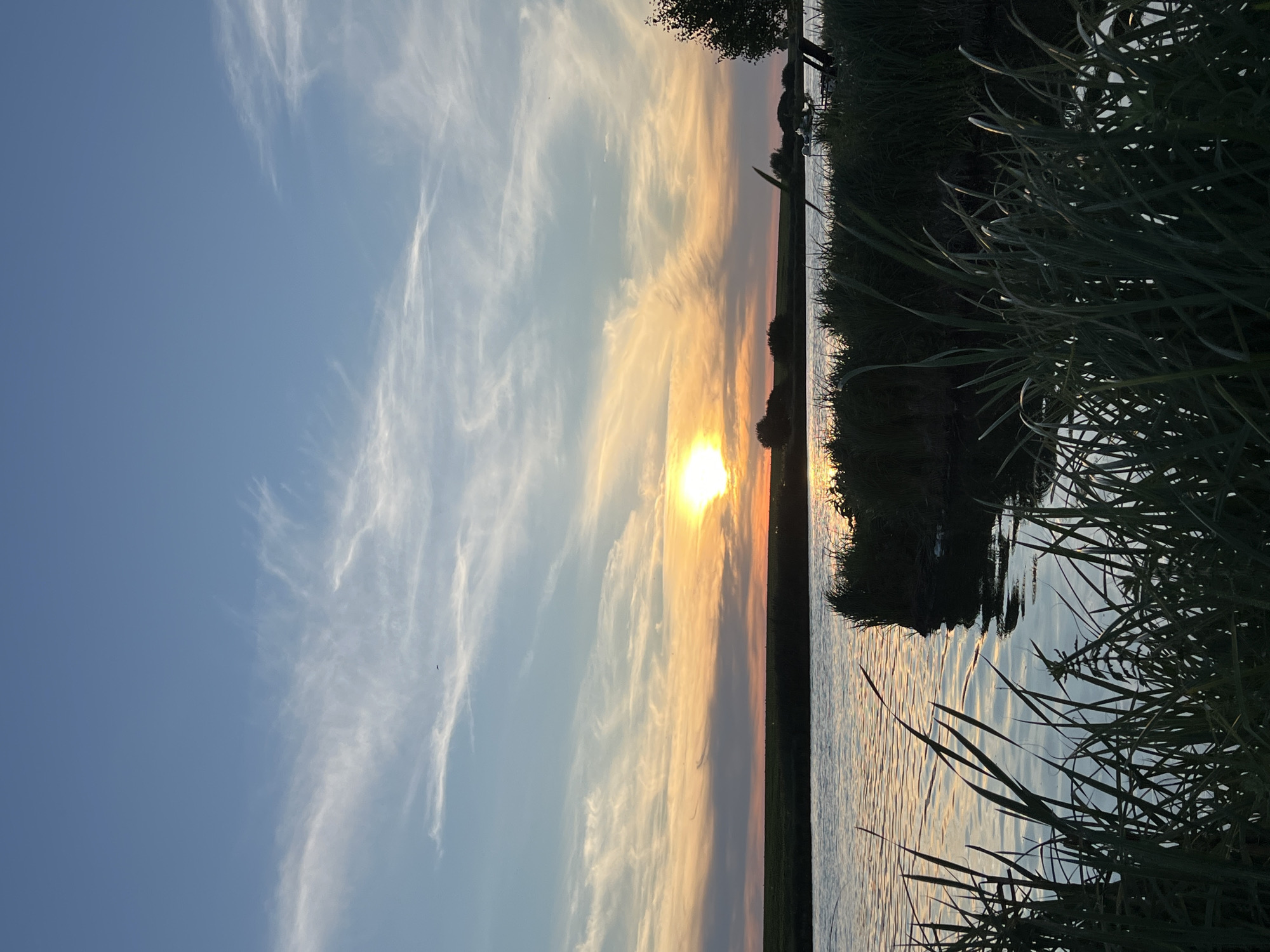 The image depicts a serene natural landscape at sunset. A body of water, likely a river or lake, occupies the lower half of the frame, reflecting the warm hues of the setting sun. Tall, dark green reeds and grass line the foreground, framing the water. In the distance, a flat, green expanse of land is visible, with a line of dark trees and bushes along the horizon. The sky is a gradient of pale blue at the top, transitioning to soft oranges, pinks, and yellows near the horizon, where the sun is partially visible. Wispy white clouds are scattered across the sky. The scene is located in Mateushivka, Ukraine. There are no people or animals visible in the image.