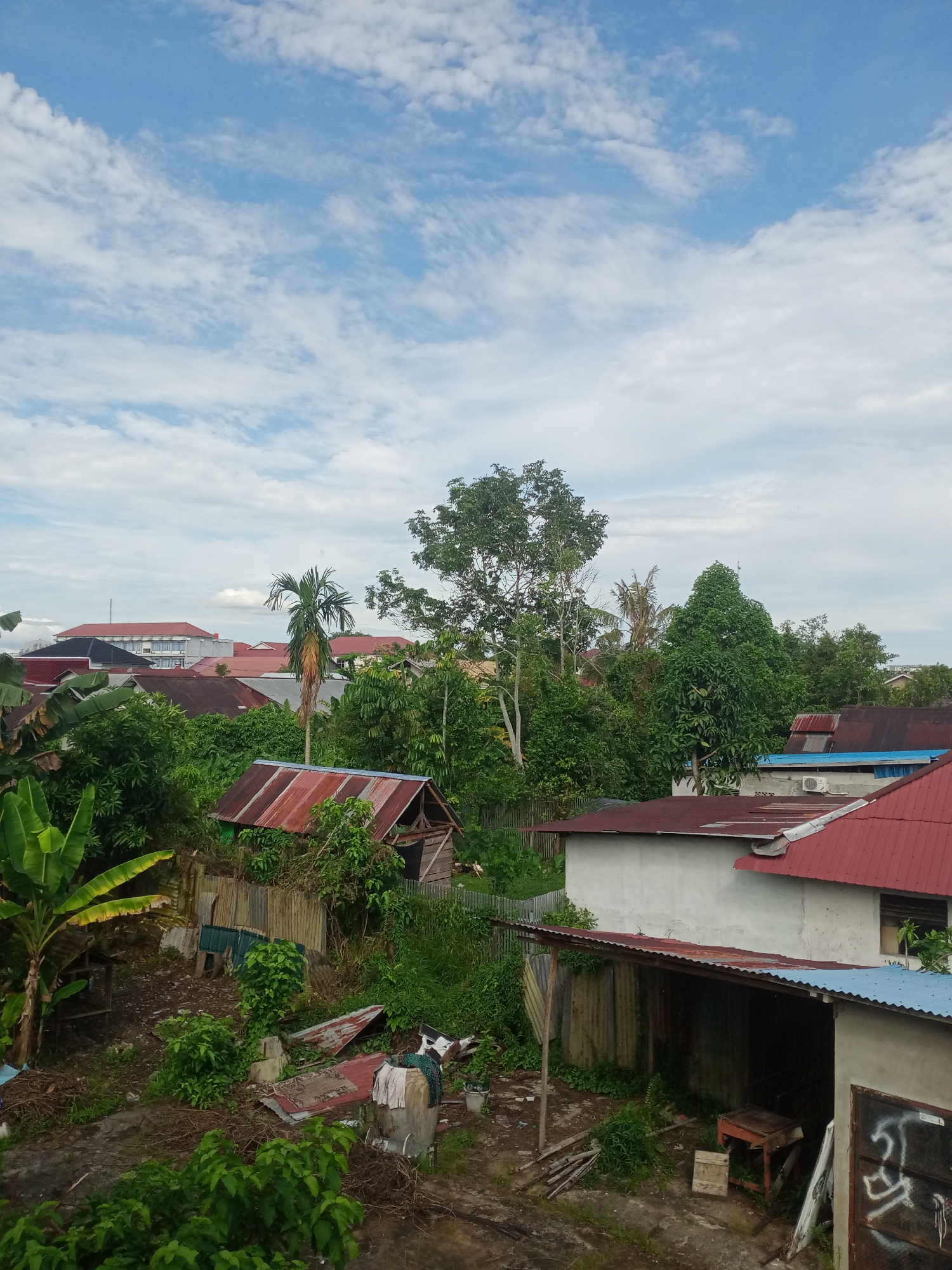 This is an eye-level, medium shot image taken in Pontianak, Indonesia, depicting a residential area characterized by a mix of modest houses and lush vegetation under a partly cloudy sky. The scene is dominated by a variety of structures, including houses with corrugated metal roofs in shades of red and blue, some appearing well-maintained and others showing signs of disrepair. A small, dilapidated wooden structure with a rusty red roof is visible in the foreground, surrounded by overgrown plants. To the left, a banana tree with large, green leaves stands prominently.
In the background, larger buildings with red roofs are visible, suggesting a more developed part of the city. The landscape is heavily vegetated, with numerous trees and shrubs creating a dense green canopy that partially obscures the buildings. The sky is a bright blue, punctuated by scattered white clouds, indicating fair weather. There are no people visible in the image. The overall impression is of a semi-urban environment where nature is integrated with human settlement, with a focus on the humble architecture and abundant greenery characteristic of tropical regions in Indonesia.