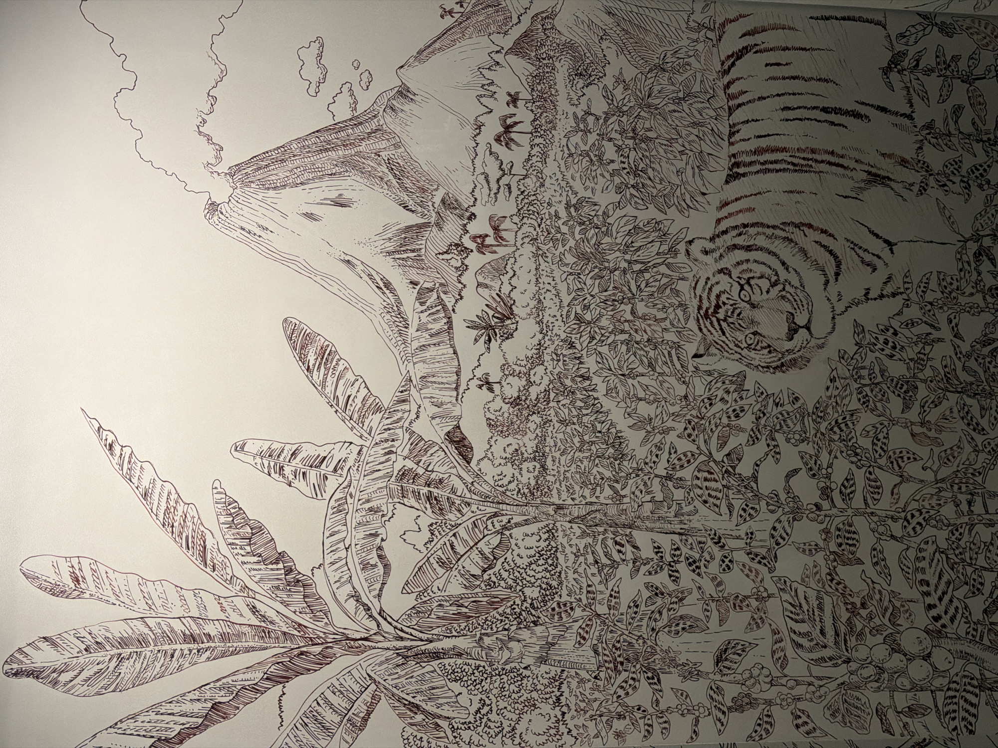 This is a detailed pen and ink drawing depicting a tropical jungle scene. In the foreground, a tiger is partially visible, standing amidst lush vegetation. The midground is filled with dense foliage, including what appear to be banana trees. In the background, a volcano erupts, with smoke billowing into the sky, and a range of smaller mountains and palm trees. The artwork is rendered in a dark red ink on a light background. There are no people or specific identifying landmarks of Meguro, Japan visible in the drawing.