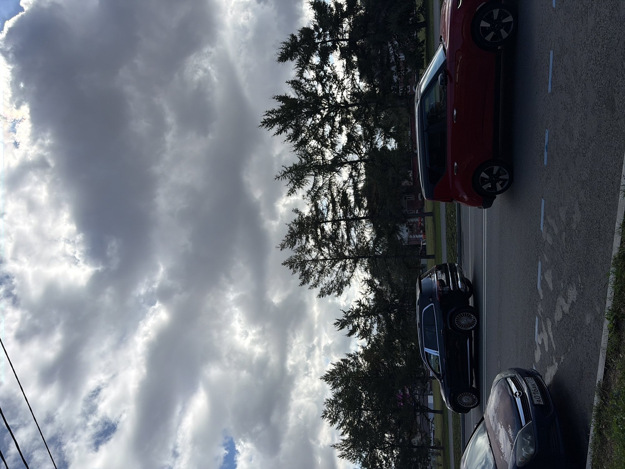 The image depicts a street scene with two cars on a paved road, silhouetted trees, and a cloudy sky. In the foreground, the front of a dark-colored car, possibly an Opel Astra, is visible on the left, with its license plate reading "A016AK 77". To the right and further down the road, a red Kia Soul is in motion. Behind the cars, a row of tall evergreen trees forms a dense line against the sky. In the background, buildings and a further line of trees can be seen. The sky is filled with dramatic, dark clouds, with some patches of lighter sky visible. The overall lighting suggests an overcast day. The scene is likely a street in a suburban area of Moscow, Russia, given the license plate format and general environment.