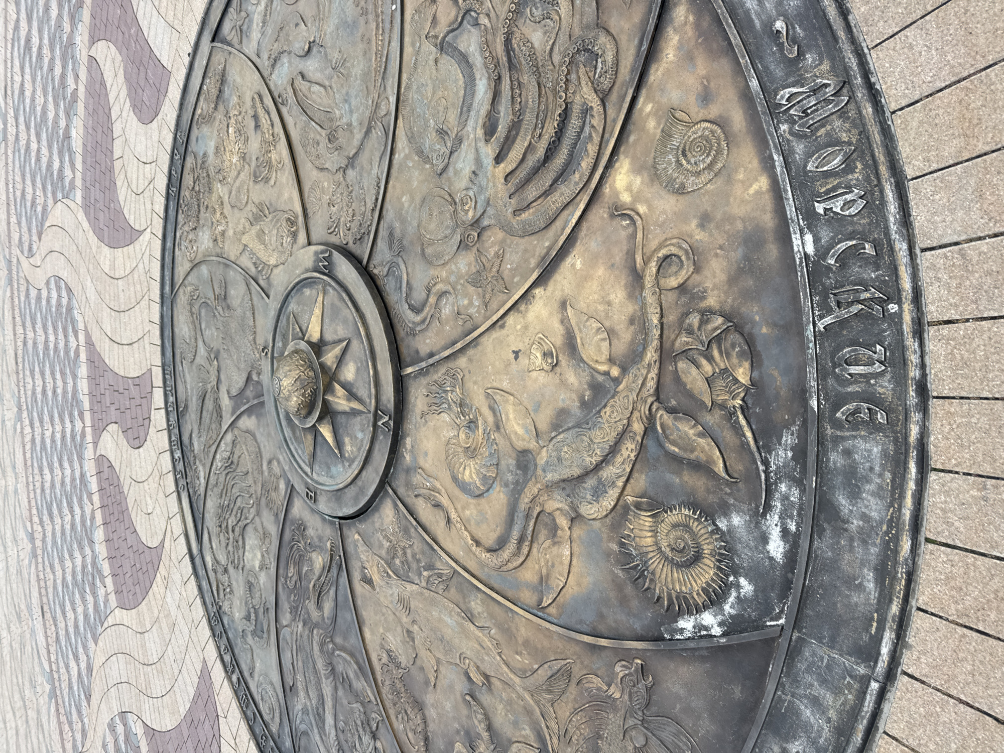 This image captures a close-up, high-angle view of a large, circular bronze relief situated on a patterned paved surface. The relief depicts various marine creatures and nautical elements. In the center, a compass rose with a spherical orb at its apex is prominently displayed. Radiating outwards from the center are sections illustrating different sea animals, including octopuses, fish, sharks, and what appear to be ammonites and other fossils. The outer rim of the relief is inscribed with text in Cyrillic script, which is partially obscured but appears to contain names or phrases. The surrounding pavement is laid in a wavy, alternating pattern of beige and reddish-brown tiles. The overall scene is an outdoor public space, likely a plaza or promenade in Vladivostok, Russia, given the specific inscription on the relief, which is identifiable as part of the "Voyage Around the World" monument, commemorating the first Russian circumnavigation. There are no people or animals visible in the image, and no actions or interactions are taking place. The lighting suggests it is daytime.