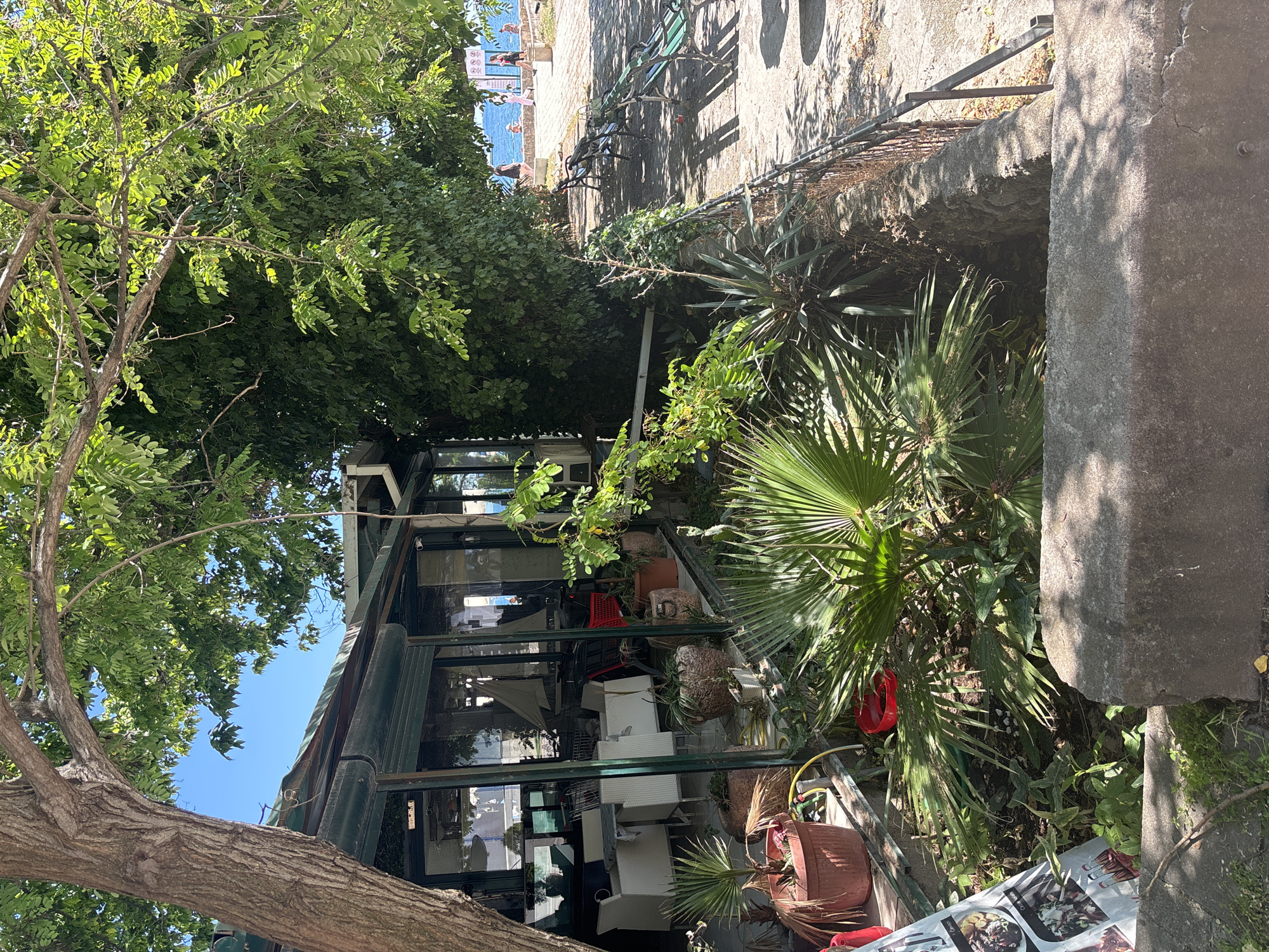 The image depicts an outdoor dining area adjacent to the waterfront in Budva, Montenegro. A partially obscured glass-enclosed structure suggests an indoor/outdoor restaurant or cafe space. The dining area features white furniture, including tables and chairs. Lush vegetation, including a tree with green leaves, palm trees, and various potted plants, surrounds the dining area. In the background, the Adriatic Sea is visible, along with people on the shore. A bicycle is parked on a ledge. The scene is bathed in sunlight, casting shadows.