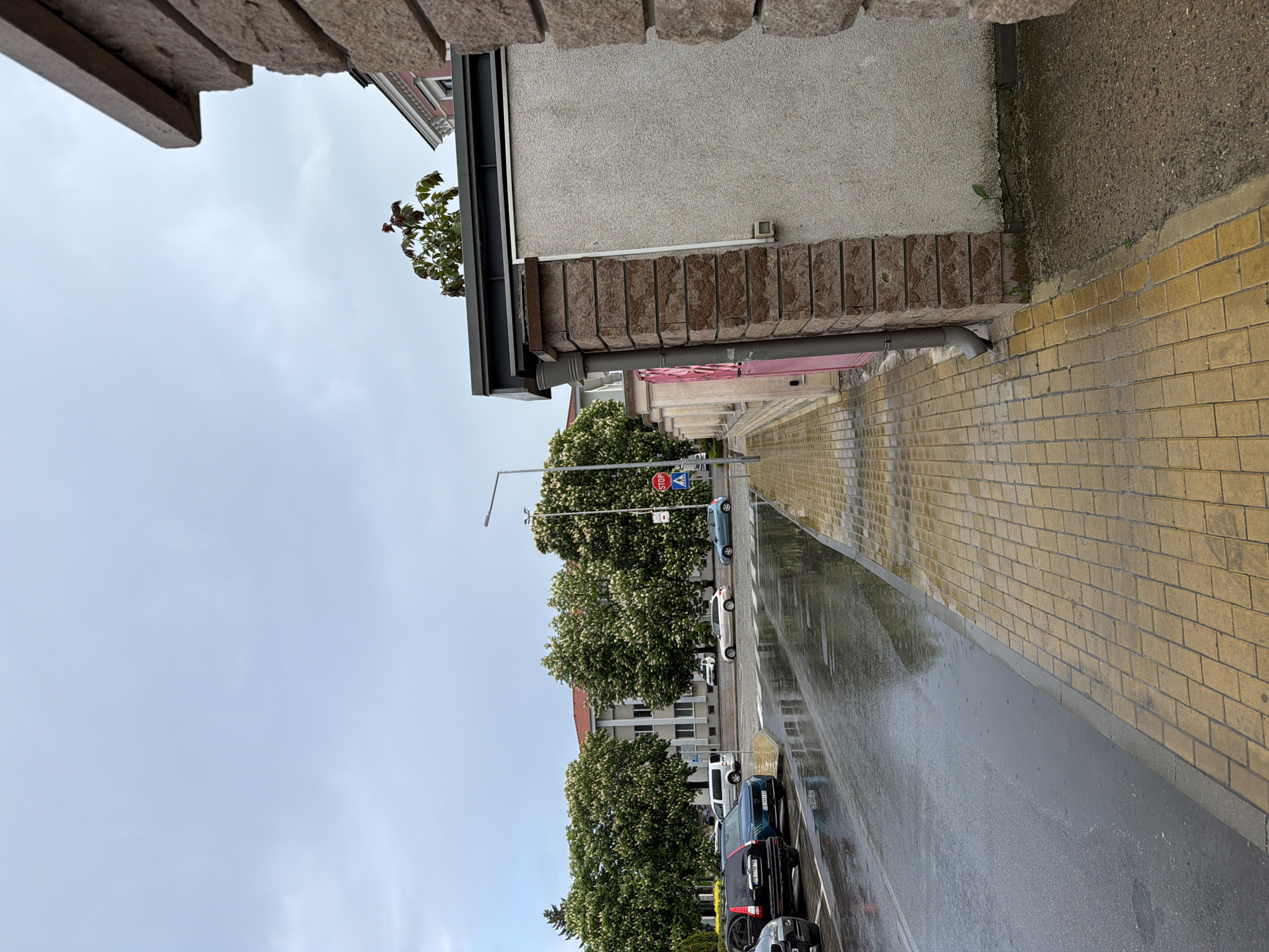 The image shows a street in Panagyurishte, Bulgaria on a wet day. The foreground includes the corner of a building, with exposed brick and a drainpipe. A yellow brick sidewalk runs along the right side of the street. A row of parked cars lines the left side, next to a line of trees in full bloom. Further down the street, a traffic light and crosswalk can be seen. The street surface is reflective from the rain. The sky is overcast. The architecture of the building in the background features multiple stories and a red roof. A stop sign and crosswalk sign are visible near the traffic light.