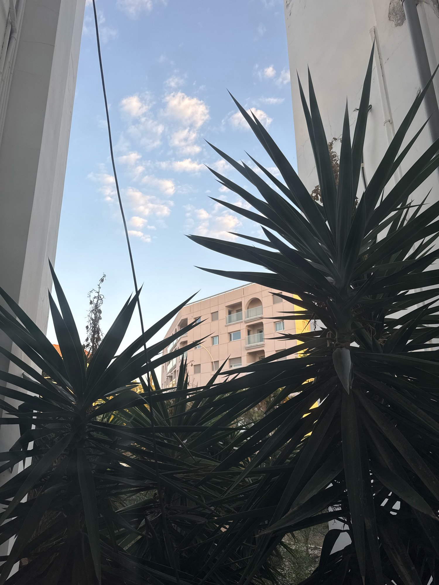 This image shows a view of a building with a rounded facade and arched windows, located in Agios Tychona Community, Cyprus. The building is seen through the spiky leaves of a Yucca plant, which is in the foreground. The sky above is blue with scattered white clouds. The scene appears to be an outdoor urban environment.
