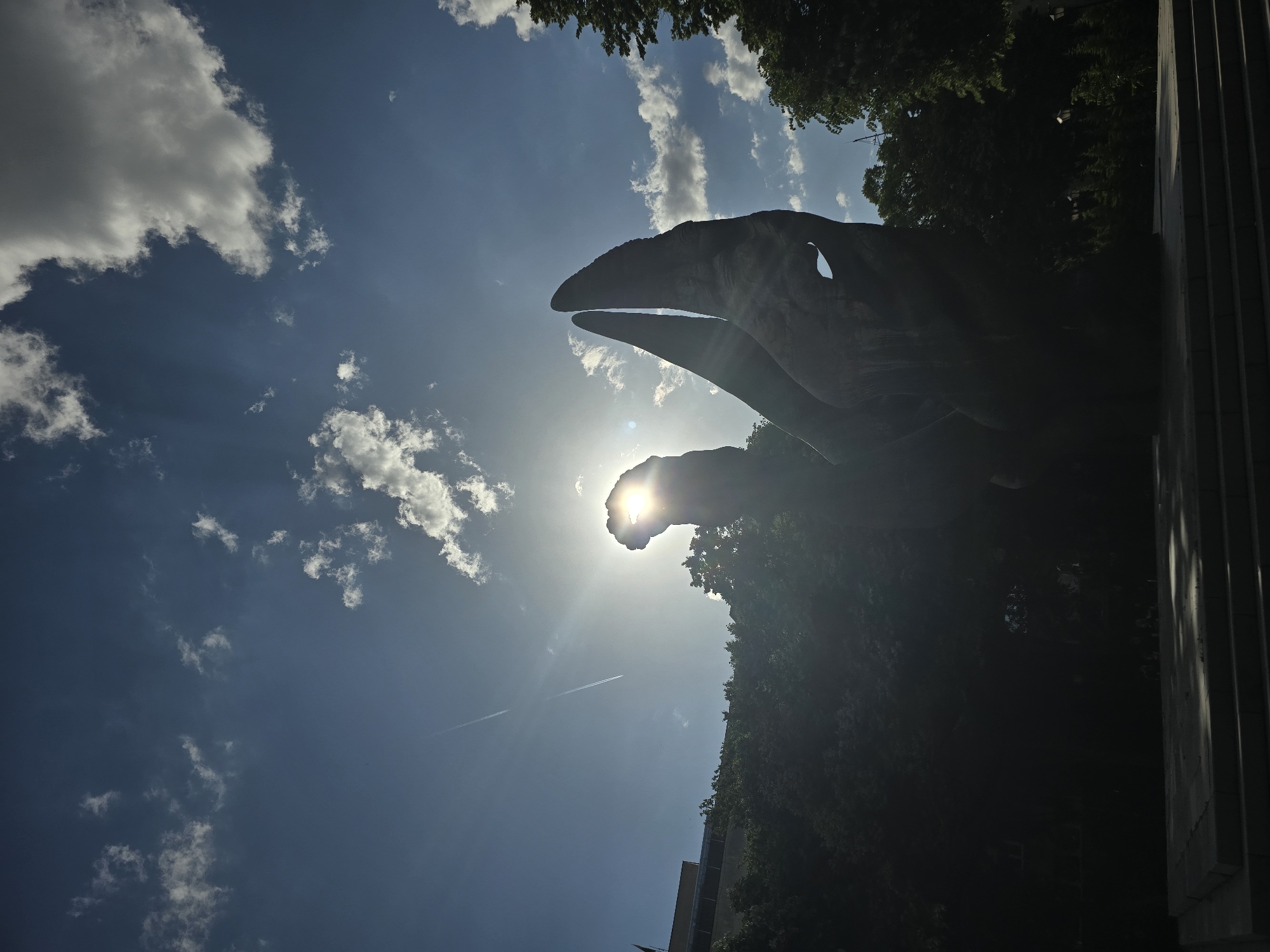 The image captures a low-angle view of the Tyrannosaurus rex statue at the National Museum of Natural History in Washington, D.C. The silhouette of the dinosaur's head is positioned against a bright, partly cloudy sky with the sun shining directly behind its lower jaw. Trees and buildings are visible in the background.