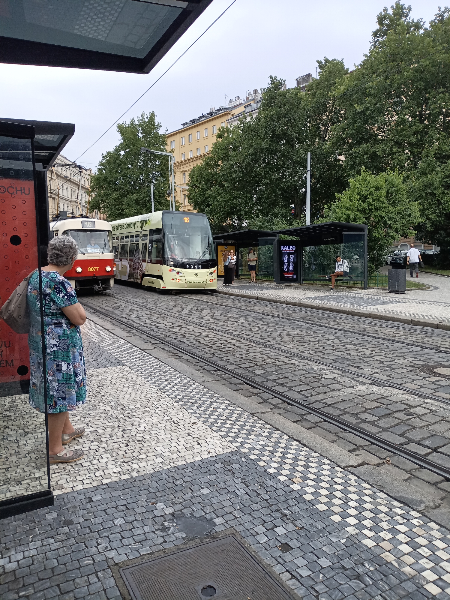 This media file shows a street scene in Prague, Czechia, likely during daytime. The foreground features a woman in a blue and green patterned dress standing at a tram stop. She is seen from the waist down and is carrying a brown bag over her shoulder. The tram stop has a glass-paneled shelter with advertisements, one of which reads "KALEO". The ground is paved with cobblestones and features a checkered pattern in black and white tiles at the tram stop.
In the middle ground, two trams are visible on the tracks. The tram on the left is red and white, with the number "8077" clearly visible. The tram on the right is yellow and white, with the number "9395" displayed. Both trams show the route number "16" on their front displays. Text on the yellow tram reads "me zdravé domovy" and "zdravý domovs JR". Several people are waiting at another tram stop in the background.
The background is dominated by lush green trees and buildings with a European architectural style. The sky is overcast, suggesting a cloudy day. The scene appears to be a typical urban setting with public transportation. The overall mood is neutral, focusing on the ordinary activity of people at a tram stop.