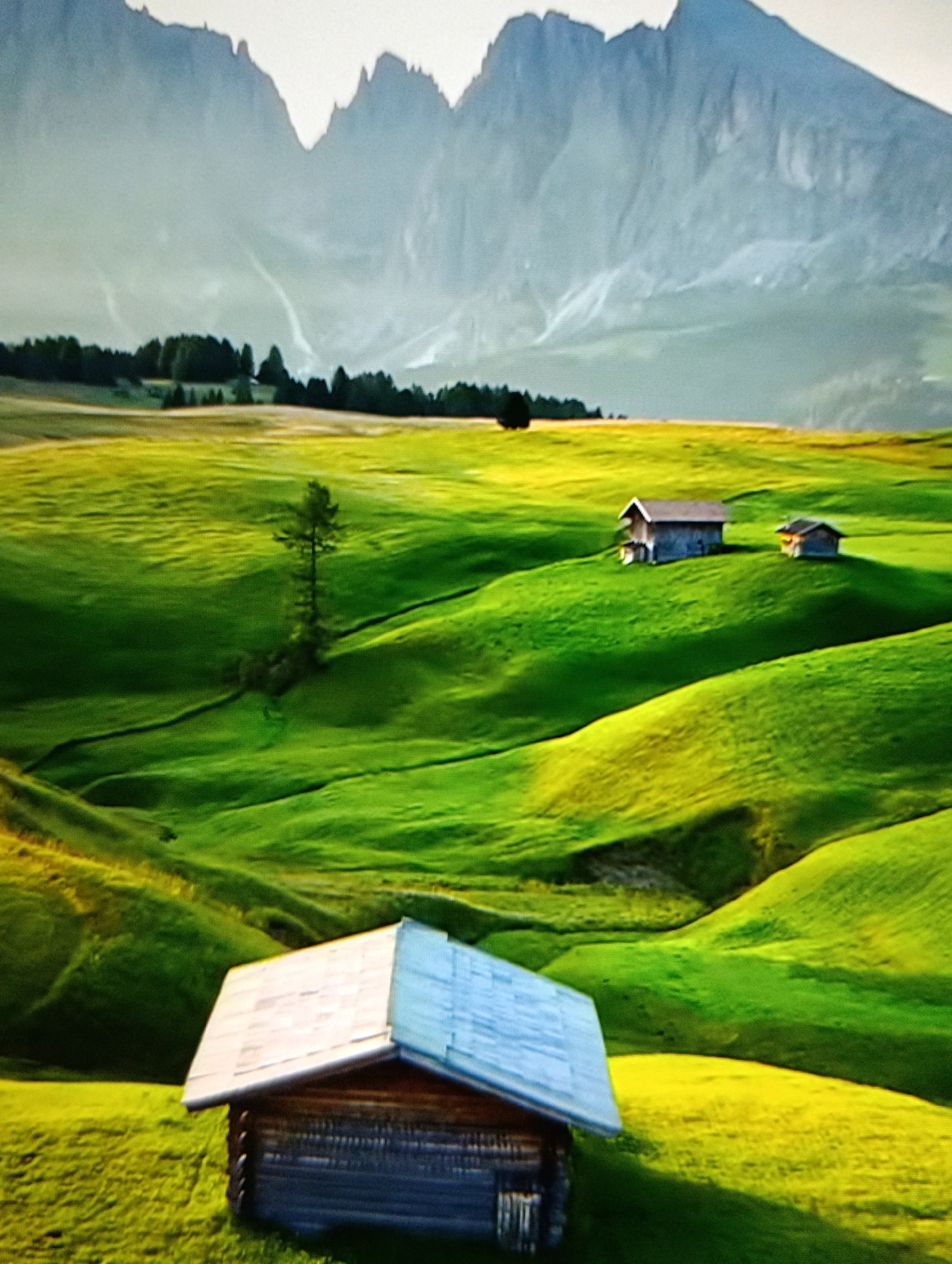 The image depicts a scenic landscape featuring rolling green hills and mountains in the background. Three small wooden cabins are scattered across the landscape. A single tree stands on one of the hills. The sky is overcast, creating a diffused light. The location appears to be Alpe di Siusi, Italy.