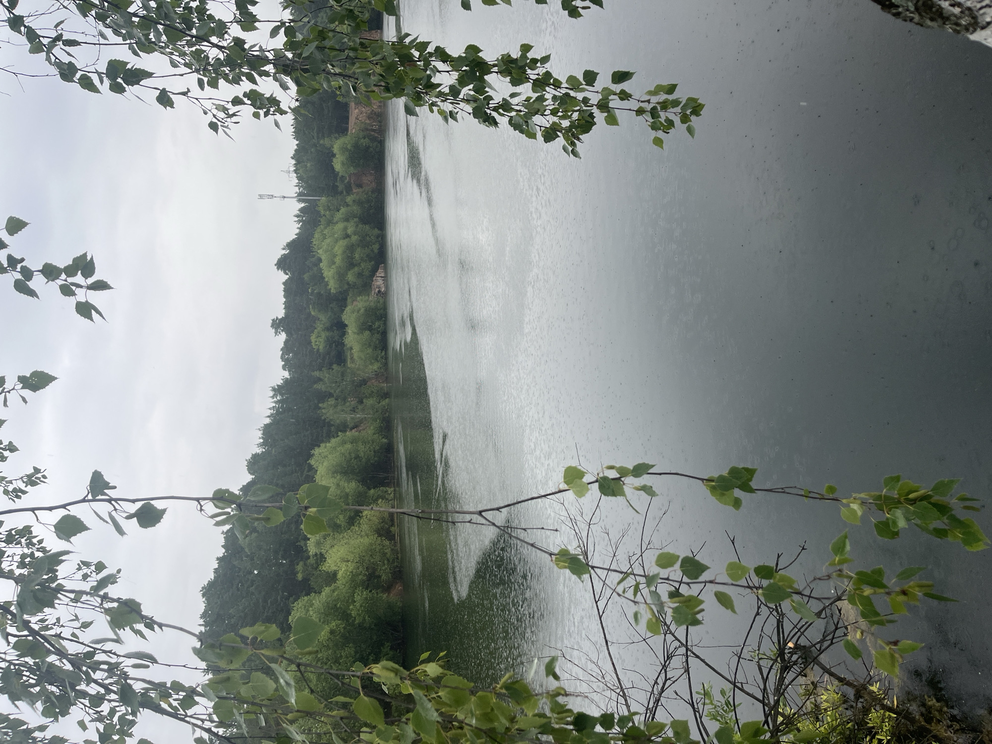 A still, overcast day at a quarry lake. In the foreground, branches with green leaves hang over the water. The water's surface is rippled by falling rain. The far bank is lined with lush green trees, with a tall communication tower visible above the treeline in the distance. The water appears dark and reflective, with the rain creating small circular disturbances on its surface. The overall scene evokes a sense of quiet solitude and nature's gentle embrace. The location is identified as a quarry lake in Chelyabinsk, Russia.