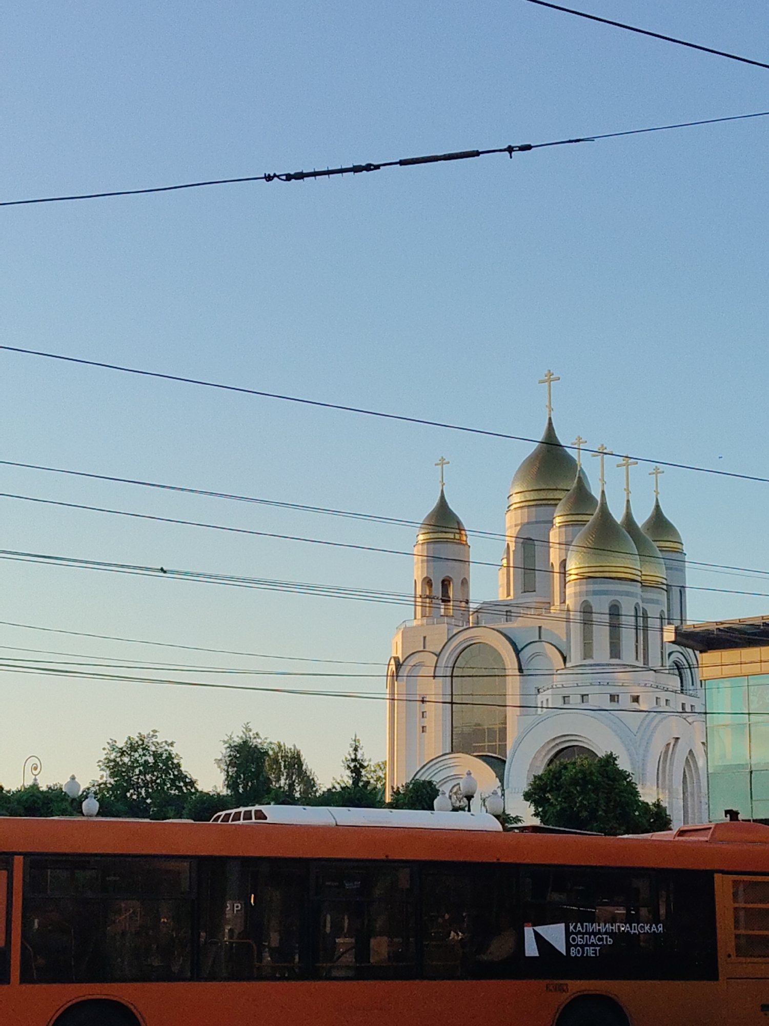 The image shows a white church with golden domes, a common architectural style in many Orthodox Christian countries. The church is large and prominent, suggesting it is a significant landmark. In the foreground, an orange bus is visible, with part of its side advertising "KALININGRAD OBLAST 80 YEARS." The presence of the bus and overhead wires indicates an urban setting, likely a street or a road. The sky is clear and a light blue, suggesting it is daytime, possibly late afternoon or early morning due to the warm lighting on the church. Trees and other buildings are also visible in the background, further confirming an urban environment. The composition of the image, with the church and bus, suggests a scene captured while traveling through a city, possibly from another vehicle.