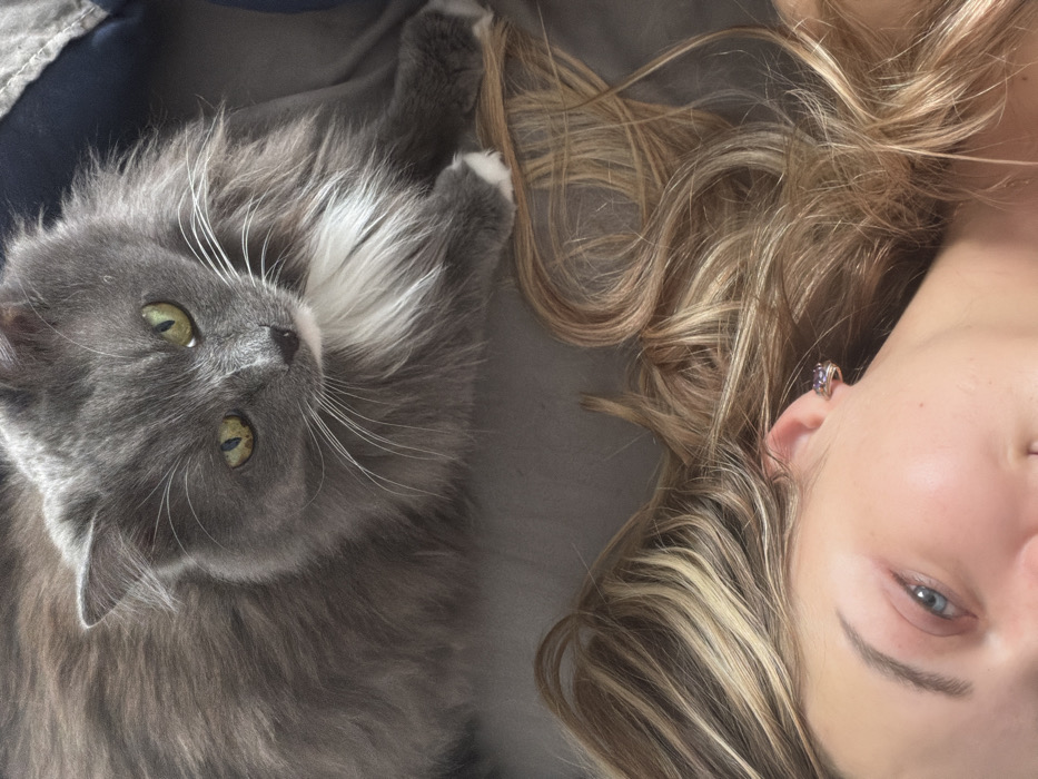 This image depicts a domestic cat and a person in an interior setting, identified as Большая Шильна, Russia. In the upper two-thirds of the frame, a long-haired grey cat with bright green eyes, a white chest marking, and white paws is observed lying down, looking directly at the viewer. Its front paws are tucked. Below the cat, the upper left portion of a human head is visible, lying on a grey fabric surface. The person exhibits blonde and light brown wavy hair, a blue eye, and fair skin. A silver-colored earring with a purple central stone is visible in the person's right ear. Both subjects rest on what appears to be a soft, grey upholstered surface. A dark blue or grey fabric is partially visible behind the cat on the upper right side.