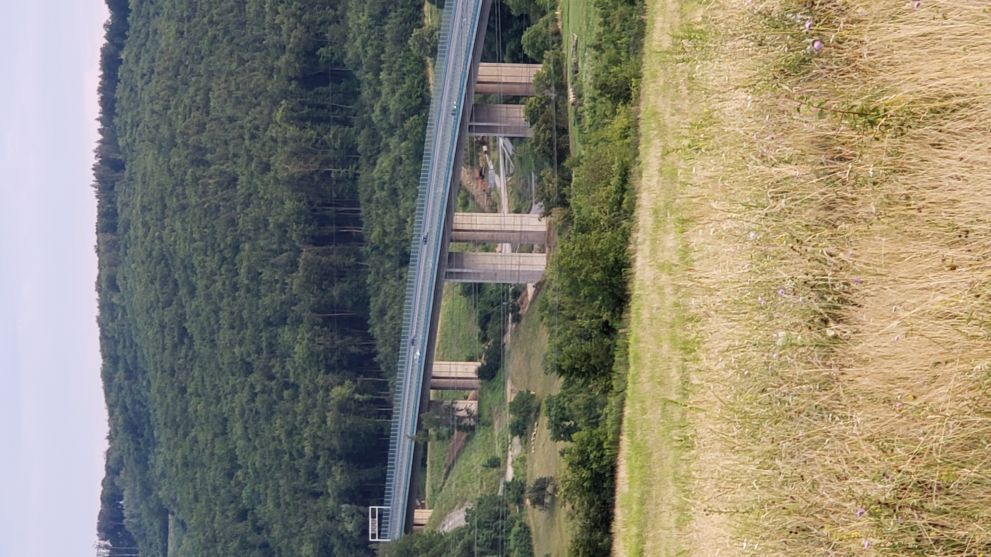 The image captures a long viaduct, likely a highway bridge, spanning across a verdant landscape. The bridge, constructed with multiple concrete pillars, supports a multi-lane roadway with visible vehicles in motion. The surrounding environment is characterized by rolling hills densely covered in lush green trees. In the foreground, a field of tall, dry grass dotted with small purple flowers stretches towards the viewer, suggesting a rural or semi-rural setting. The sky above is a pale, overcast blue. The scene is peaceful and appears to be taken during daylight hours. The location is not in Prešov, Slovakia.