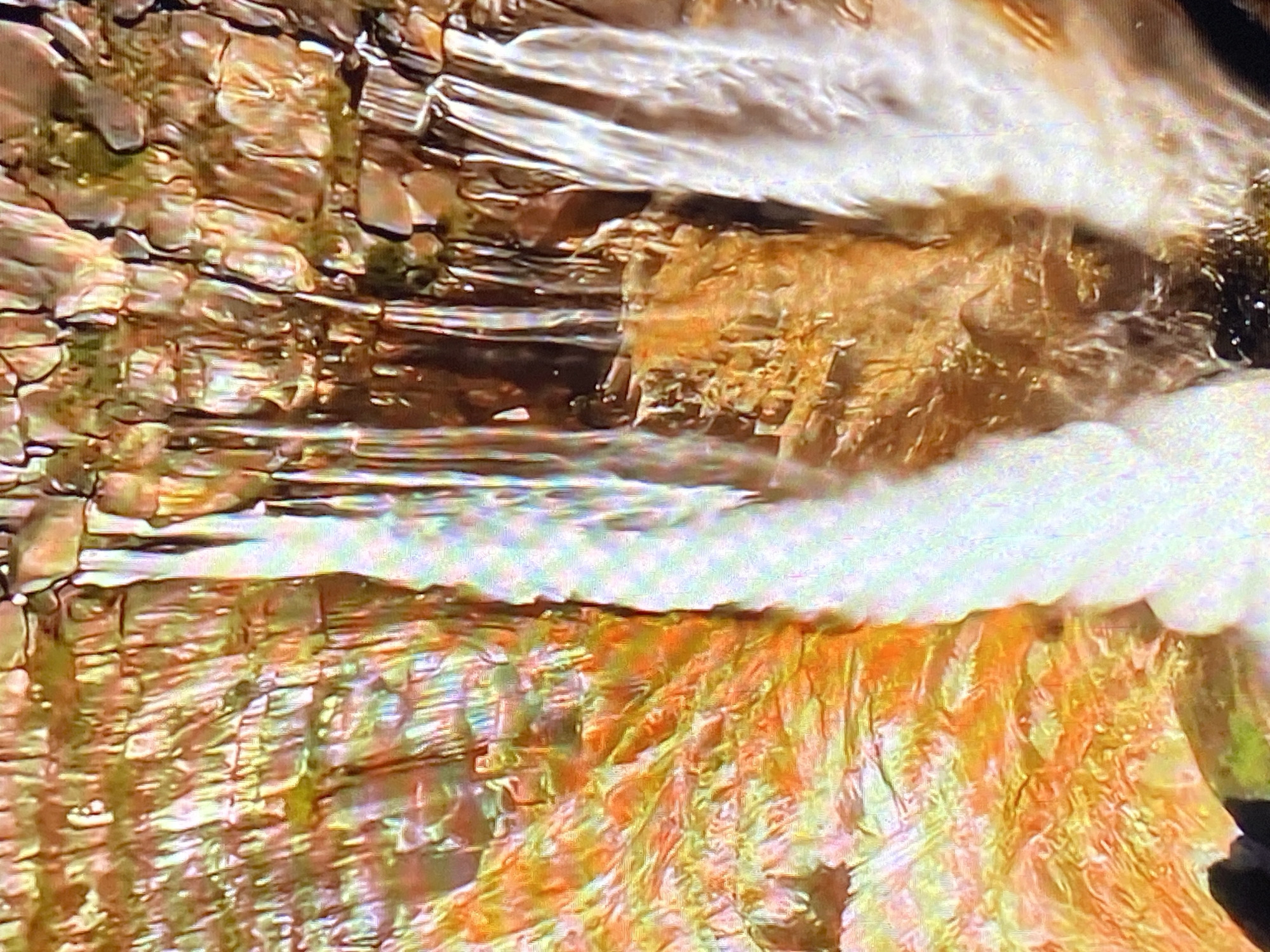 The image shows a section of the Paraima waterfall located in Tinaquillo, Venezuela. The water flows over a layered rock formation, creating a horizontal pattern of light and dark tones. The rocks are predominantly shades of brown and orange, with some areas appearing wet and reflective. The water is depicted as a blurry white and translucent stream.