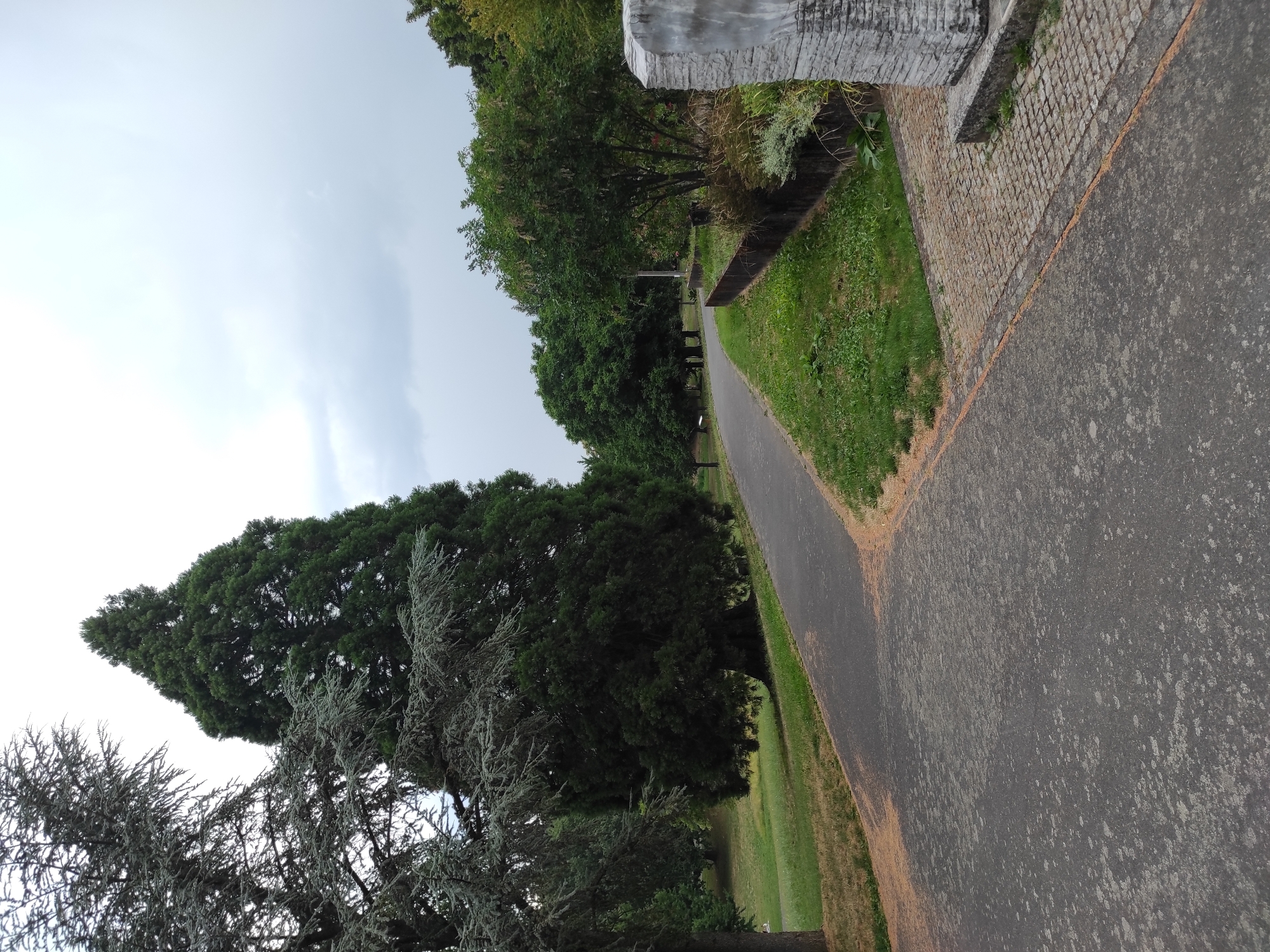 An outdoor, eye-level shot shows a paved path in a park or cemetery on an overcast day. The path curves away from the viewer, leading into a grove of trees. On the left side of the path is a large, dark green evergreen tree, with a lighter green tree to its left. The right side of the path is bordered by a low, dark wall with grass and low-lying plants. Further along the path on the right, a stone sculpture stands next to a cobblestone section of the walkway. The sky is gray and cloudy, with the overall impression being one of a serene and somewhat somber atmosphere. No people are visible in the image.