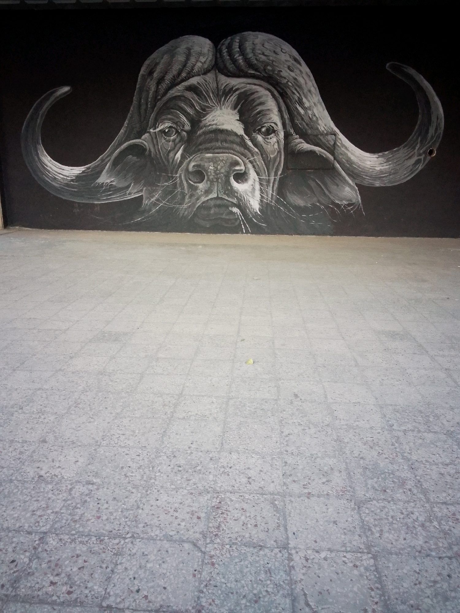 The image depicts a mural of a Cape buffalo head painted on a dark wall. The buffalo is rendered in grayscale with detailed shading, emphasizing its textured horns, stern expression, and thick mane. The mural occupies the upper portion of the frame. Below the mural is a paved ground area made of light gray square tiles. The scene appears to be outdoors, with the paving stones suggesting a pedestrian area or courtyard. The overall impression is one of public art in an urban setting. The location of this mural in Tbilisi, Georgia, is unknown based on the image alone.