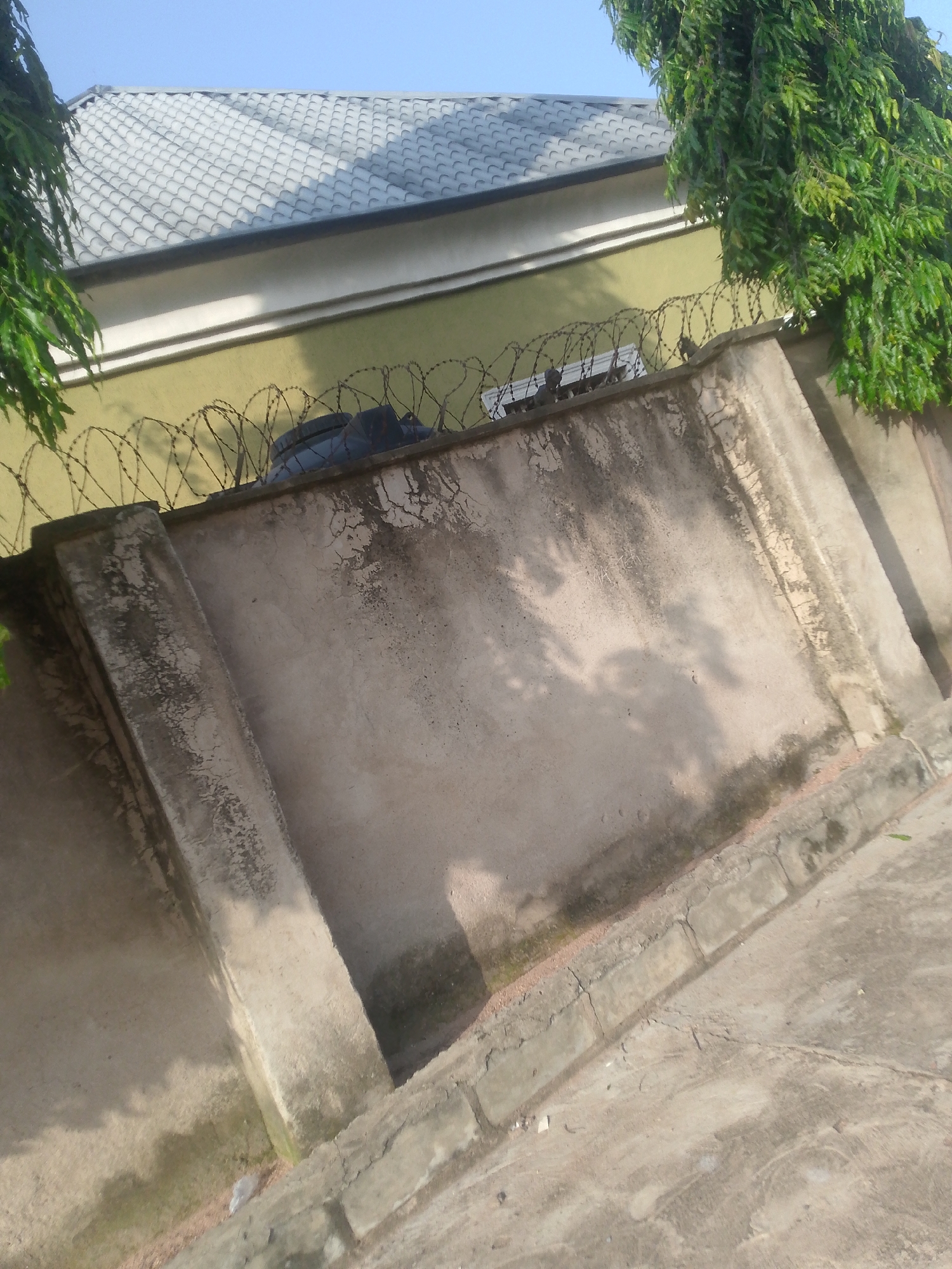The image depicts an outdoor scene, likely in Jalingo, Nigeria, featuring a weathered concrete wall topped with barbed wire. A portion of a building with a light green painted facade and a grey, patterned roof is visible above the wall. Lush green foliage from trees overhangs the scene from the right and left. The concrete wall itself shows signs of age and weathering, with patches of discoloration and staining. Shadows are cast across the wall, suggesting the presence of sunlight. The ground in the foreground is paved with concrete and appears to be a pathway or courtyard. No people are visible in the image.