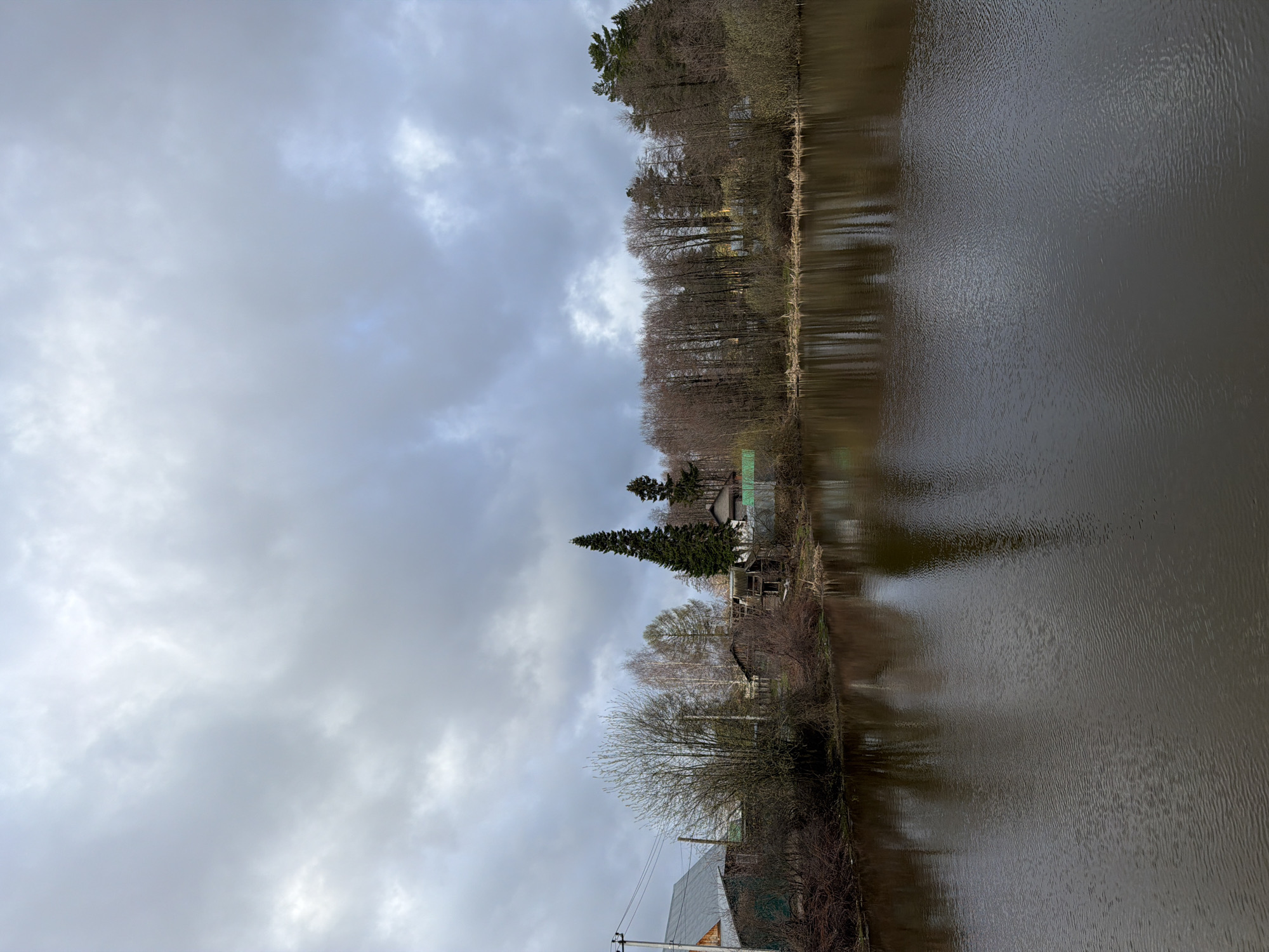 The image, taken in Chaikovsky, Russia, presents a tranquil landscape featuring a body of water, likely a lake or wide river, bordered by a tree-lined bank under a heavily overcast sky. The water occupies the right half of the frame (when correctly oriented) and appears dark, reflecting the muted tones of the sky and the adjacent shore. Subtle ripples are visible across its surface.
The left side of the image showcases the bank, densely populated with a mix of bare deciduous trees, suggesting late autumn, winter, or early spring. Several prominent evergreen conifers, including one particularly tall and slender tree, stand out among the leafless branches. Nestled within this vegetation, several rustic-looking structures are visible, including a building with a light green roof and another older wooden house. Towards the bottom-left corner, part of a utility pole with power lines can be seen, indicating the presence of infrastructure near the natural setting.
The sky is completely covered with thick, gray clouds, creating a soft, diffused light across the entire scene. There is no direct sunlight, contributing to a subdued and perhaps contemplative mood. No specific activity or event is taking place, and no people or visible text are present in the image.