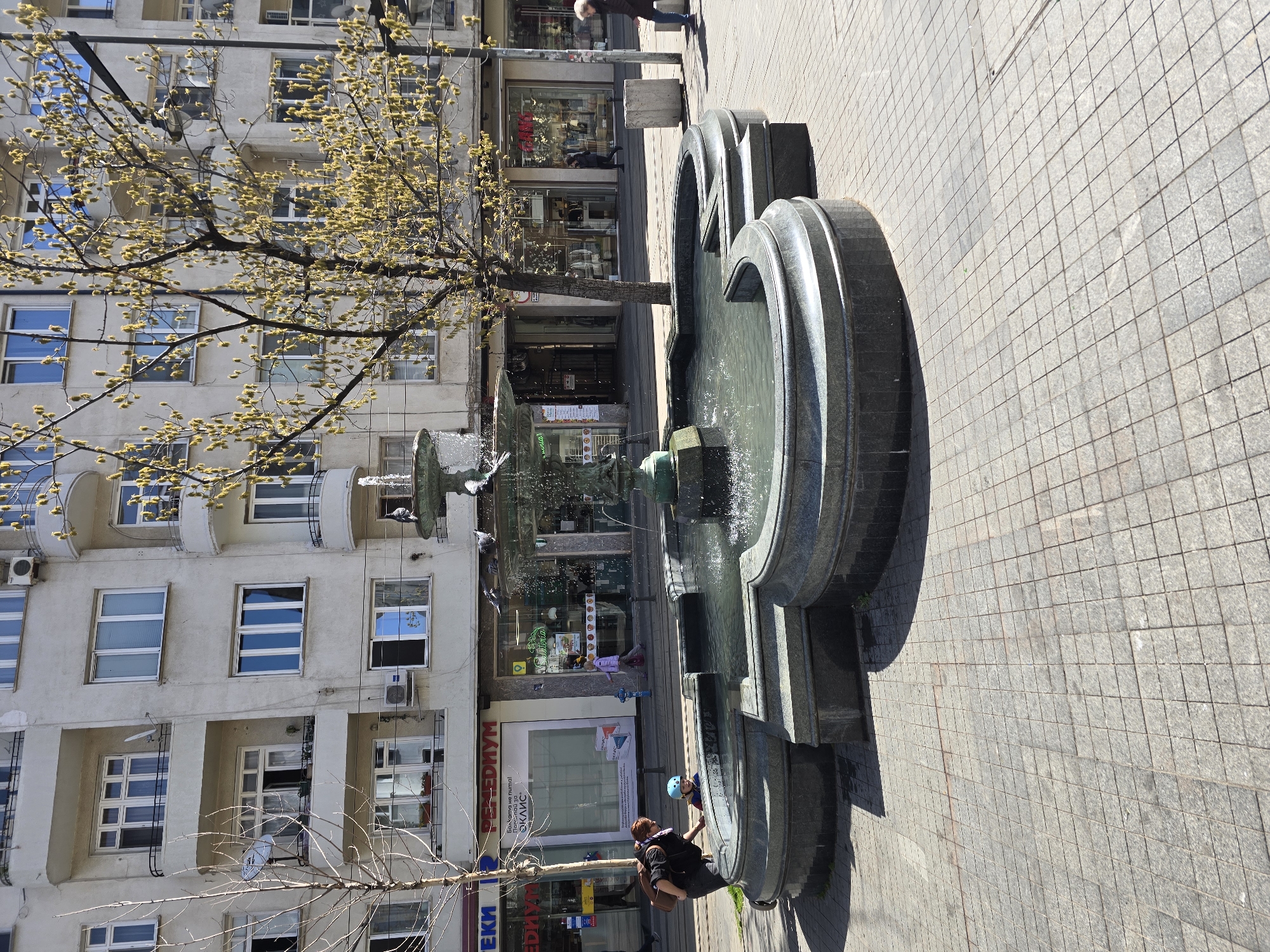 An outdoor urban scene in Sofia, Bulgaria, is depicted on a bright, sunny day during early spring. The photograph is centered on a prominent, multi-tiered stone fountain with water actively flowing. The fountain is crafted from dark grey stone and features a distinctive curvilinear or heart-like shape at its base.
To the left, a deciduous tree with branches heavily laden with small, yellowish-green catkins or early blossoms signifies the season. Behind the tree and extending along the left side of the frame is a multi-story building with a light-colored facade, characterized by numerous windows, some reflecting the sky, and several balconies. The ground floor of this building houses various shops with large glass display windows.
Several people are visible in the scene. In the foreground near the fountain, a person in dark clothing is crouched or sitting, seemingly interacting with a child who is partially obscured and wearing a blue helmet. Further in the background, a person with light hair walks past a shop, and another individual is seen walking in the distance.
The ground throughout the pedestrian area is paved with uniform grey square tiles, and strong shadows cast by the fountain and buildings indicate that it is likely mid-morning or early afternoon. Visible text on the shopfronts includes Cyrillic script, notably "АПТЕКА" (Pharmacy) and "МЕДИУМ," confirming the Bulgarian setting. Air conditioning units and satellite dishes are attached to the building, adding to the urban environment.