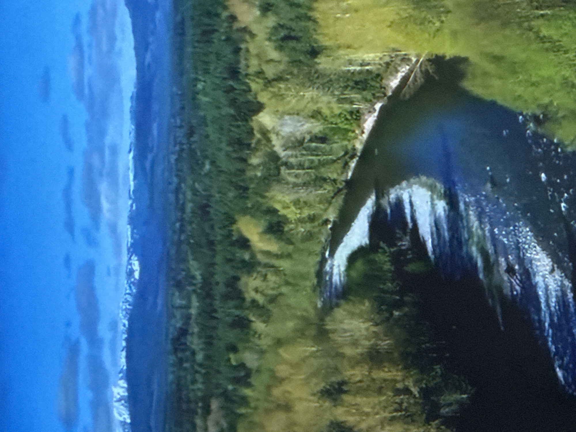 An aerial, wide-angle shot displays a vast, green forest canopy stretching towards a snow-capped mountain range under a bright blue sky with scattered clouds. A winding, dark blue river cuts through the foreground, its surface speckled with white reflections. The riverbanks are lined with trees, some with vibrant yellow foliage, suggesting a spring or autumn season. The distant mountains, their peaks covered in snow, provide a stark contrast to the lush greenery of the forest. The image captures a natural landscape, devoid of any human presence or man-made structures.
