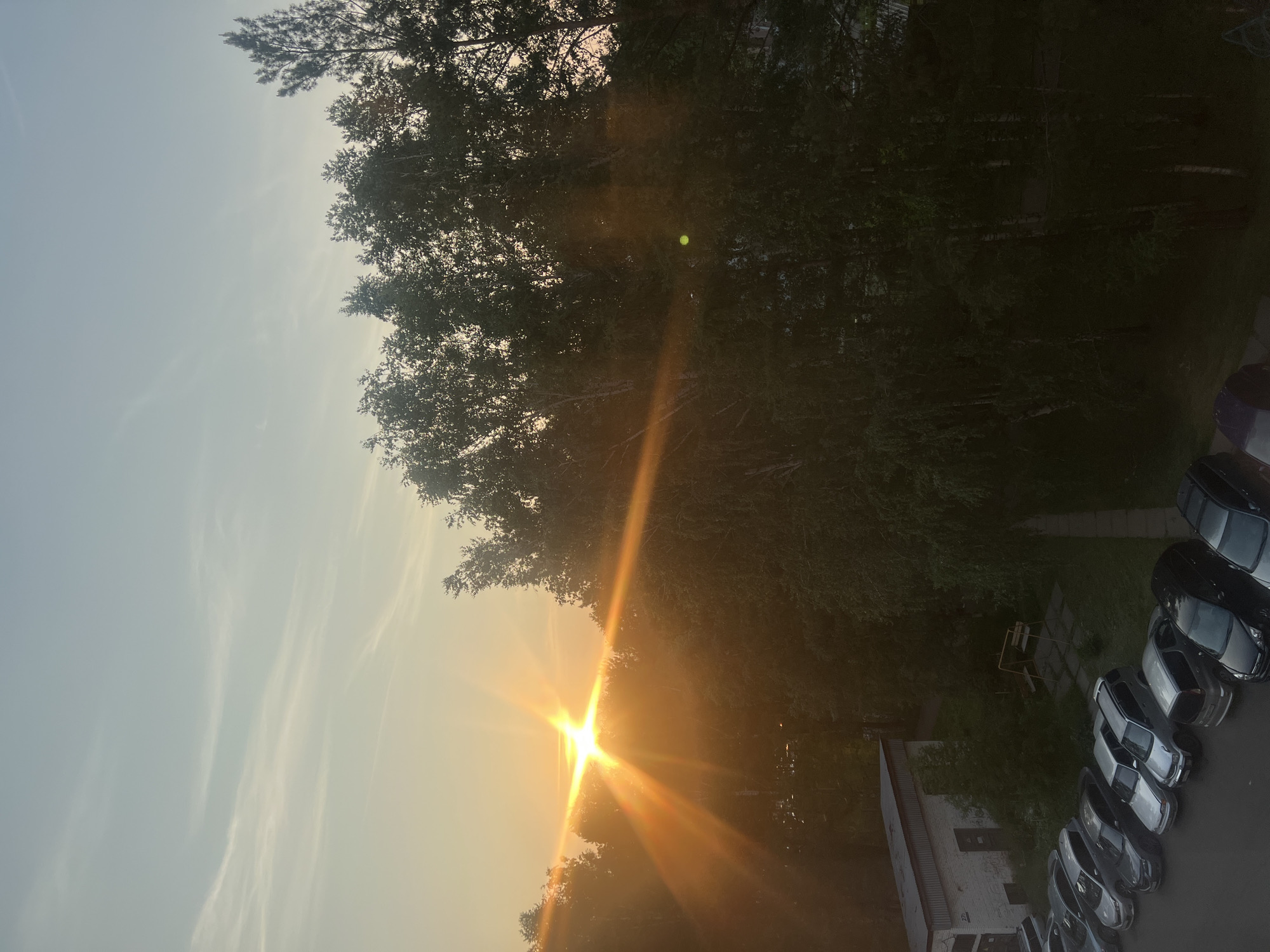 This is a vertical, rotated photograph taken outdoors in Zheleznogorsk, Russia. The scene captures a sunset with the sun positioned in the lower-left quadrant, casting strong orange and yellow rays across the image. The sun's glare is intense, creating lens flares and a bright halo.
Dominating the upper half of the image are lush green trees with dense foliage, partially obscuring the sky. The sky itself is a gradient of pale blue at the top, transitioning to a hazy yellow and orange near the horizon, indicative of sunset. Wispy clouds are visible in the brighter sky areas.
In the lower-right portion of the frame, a row of parked cars is visible, mostly dark-colored with some lighter shades. They are parked on an asphalt surface, suggesting a parking lot or street. Behind the cars, a brick building with a white facade and visible windows is present. Further back, some greenery and what appears to be a small playground structure can be seen amidst more trees.
The overall mood is serene, with the warm glow of the sunset contributing to a peaceful atmosphere. The time of day is clearly sunset. The presence of trees, a building, and parked cars indicates an urban or suburban setting. No visible text is present in the image.