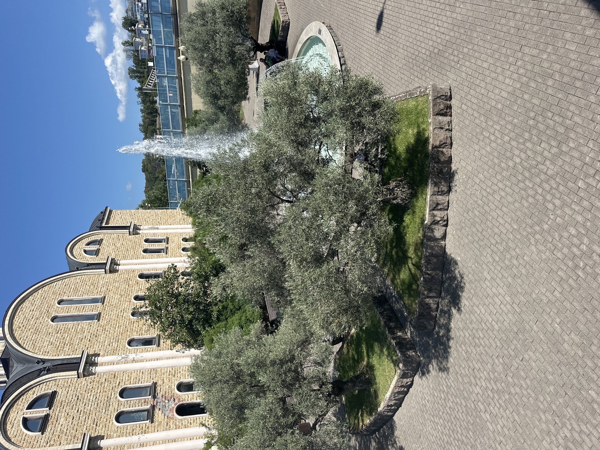 In the city of Sochi, Russia, an exterior shot captures a sunny day with a clear blue sky and scattered clouds. The scene features a large, stone-clad building with arched windows and decorative columns, possibly a religious or historical site. In the foreground, several mature olive trees with lush green foliage are situated on grassy plots bordered by stone walls. A circular fountain with water spraying upwards is visible, and two individuals are seated on a bench near the fountain. Paved pathways with cobblestone patterns lead through the area. In the background, a bridge with a blue railing and a hillside dotted with buildings and trees can be seen. The overall atmosphere is serene and picturesque.