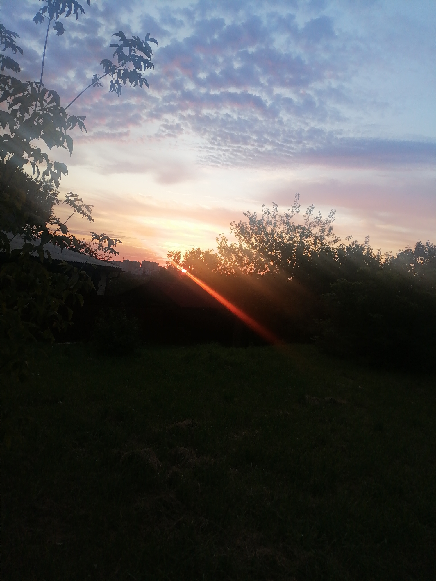 A sunset is captured in the image, with the sun's rays piercing through trees and casting a warm orange glow across the sky. The sky is a mix of blue and pink hues, with scattered clouds. In the foreground, dark green grass and foliage are visible. In the background, buildings and more trees can be seen silhouetted against the sky. The scene appears to be a natural landscape within a city, possibly a park or a residential area with abundant greenery.