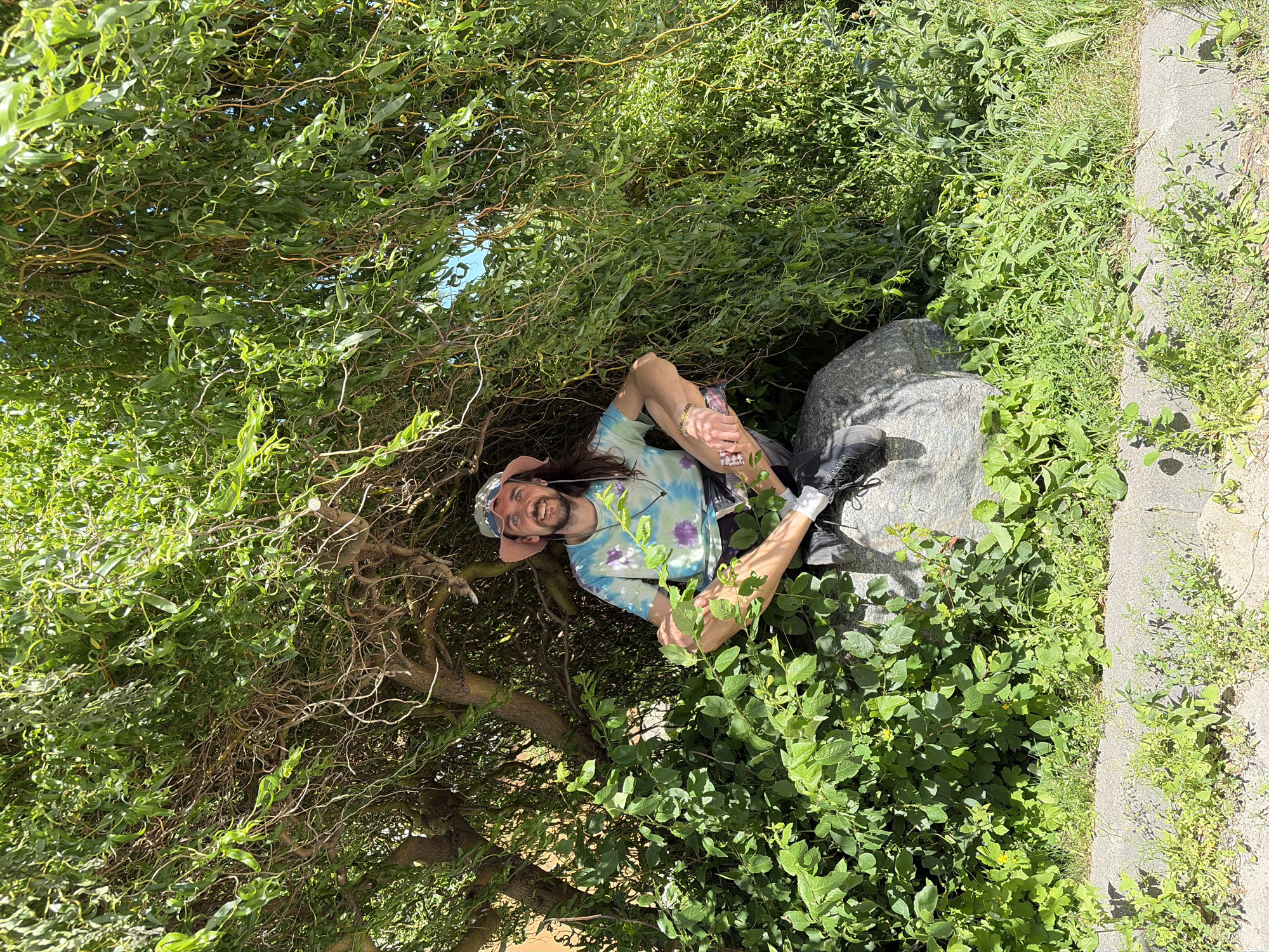 In this media file, a person is seen lying amongst lush green foliage, appearing to be under a tree with twisted branches. The person, with long brown hair and a tie-dye t-shirt, is wearing a baseball cap and a hat, and is smiling at the camera. They are propped up by a large rock. The scene is brightly lit, suggesting it is daytime, and the abundance of green vegetation indicates a warm, possibly summer, season. To the right of the foliage, a paved path or sidewalk is visible, with more greenery growing alongside it. The overall impression is one of a relaxed and casual moment spent outdoors in a natural setting. There is no visible text in the image.